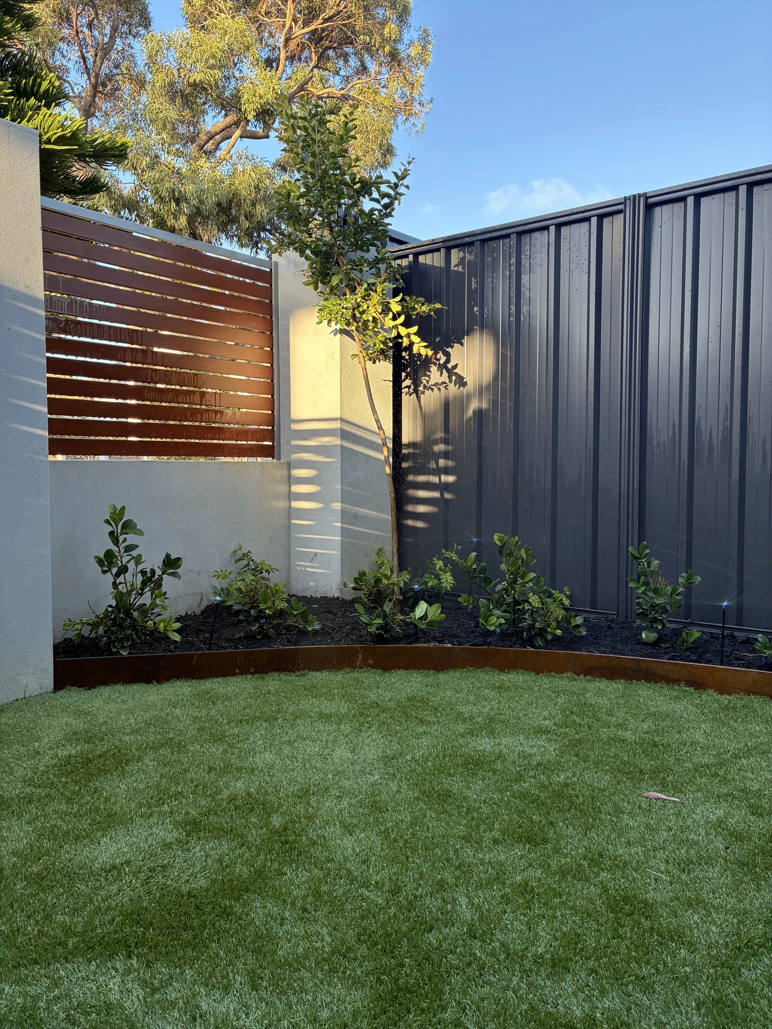 A backyard with a green lawn, a small tree, and a garden bed with plants. There is a wooden fence on the left and a metal fence on the right, with a clear blue sky above.