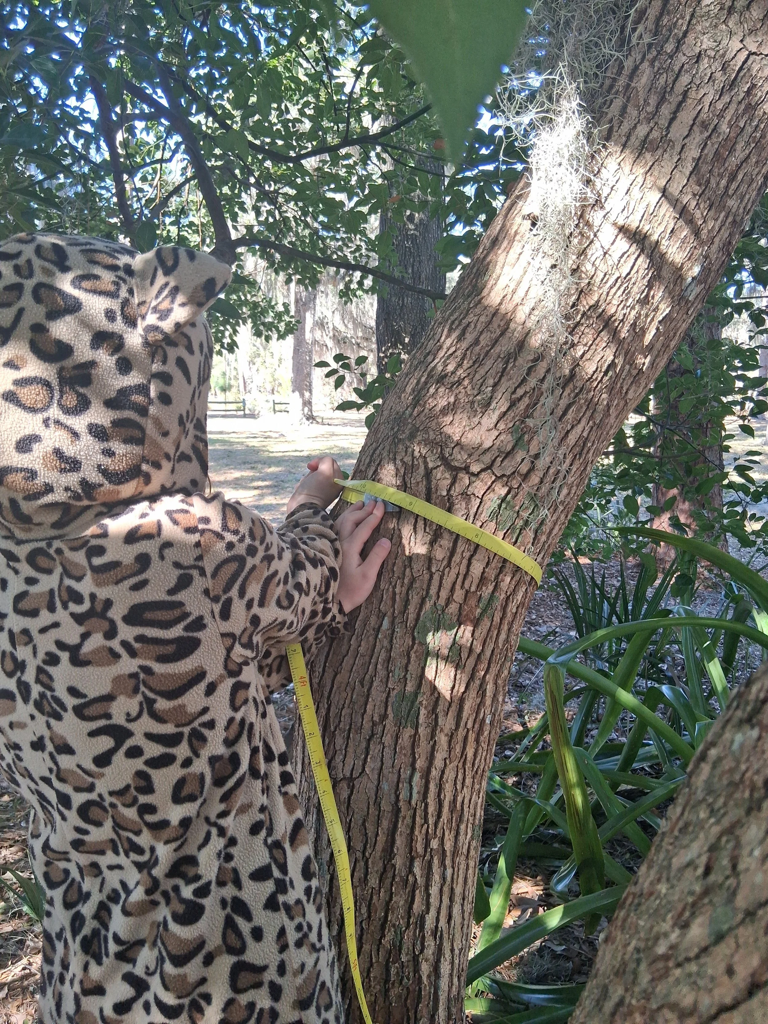 forest school