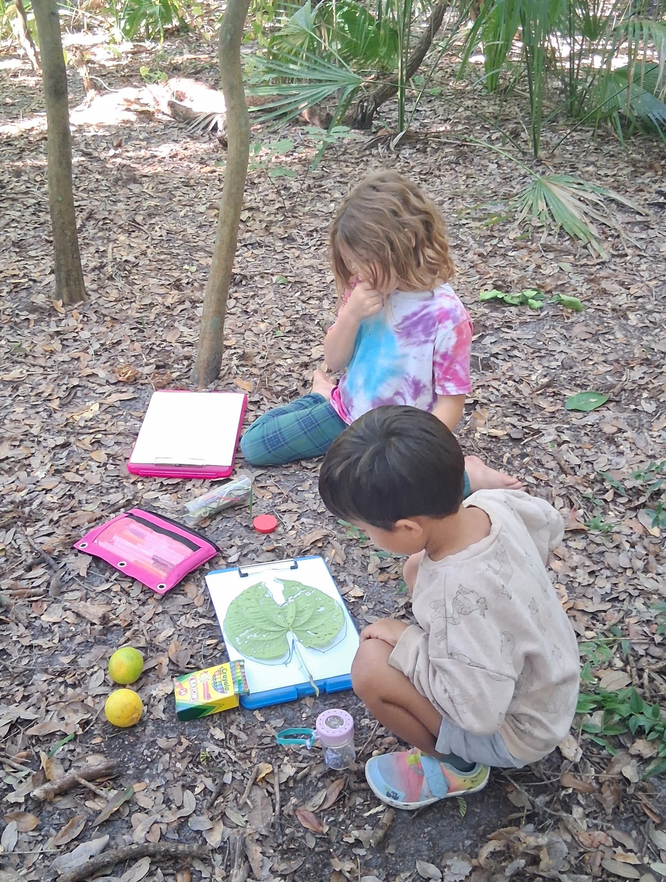 outdoor learning