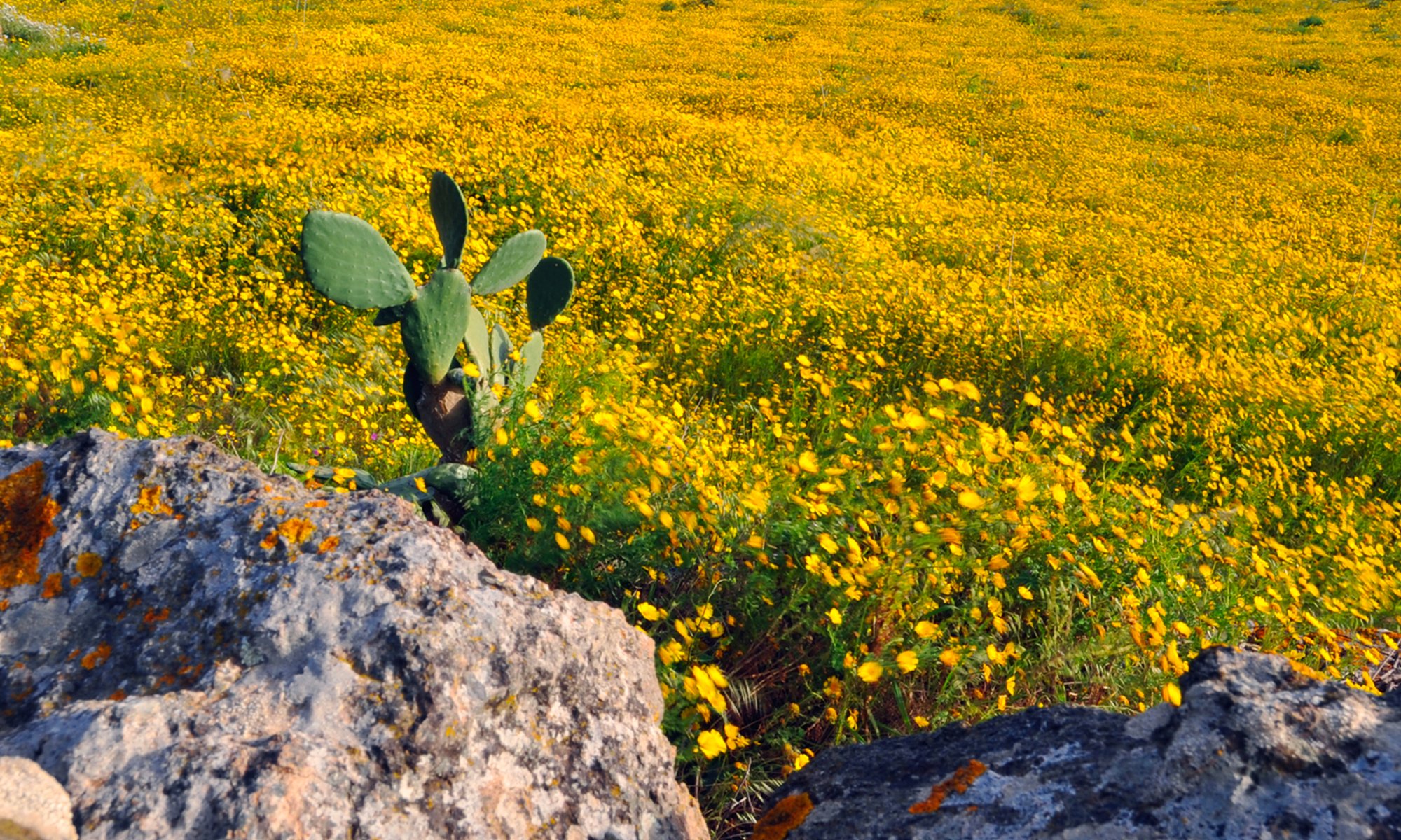 Pantelleria_07.jpg