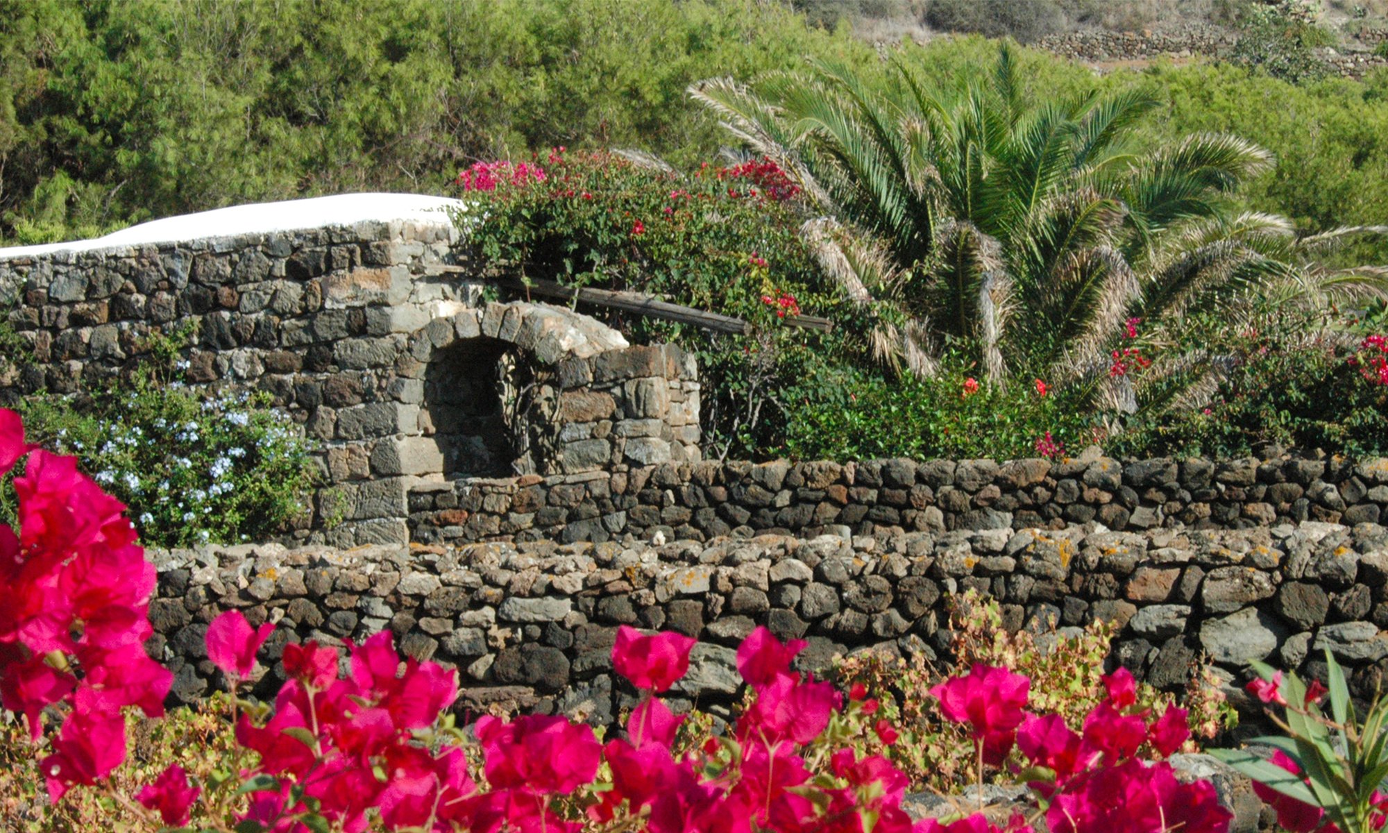Dammuso-alla-palma_01.jpg