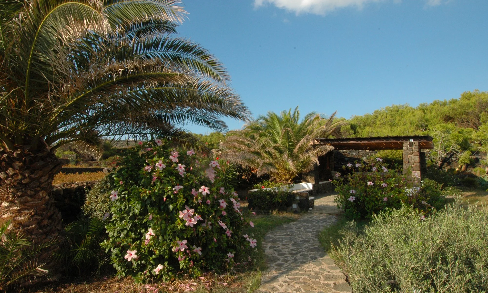 Dammuso-alla-palma_08.jpg