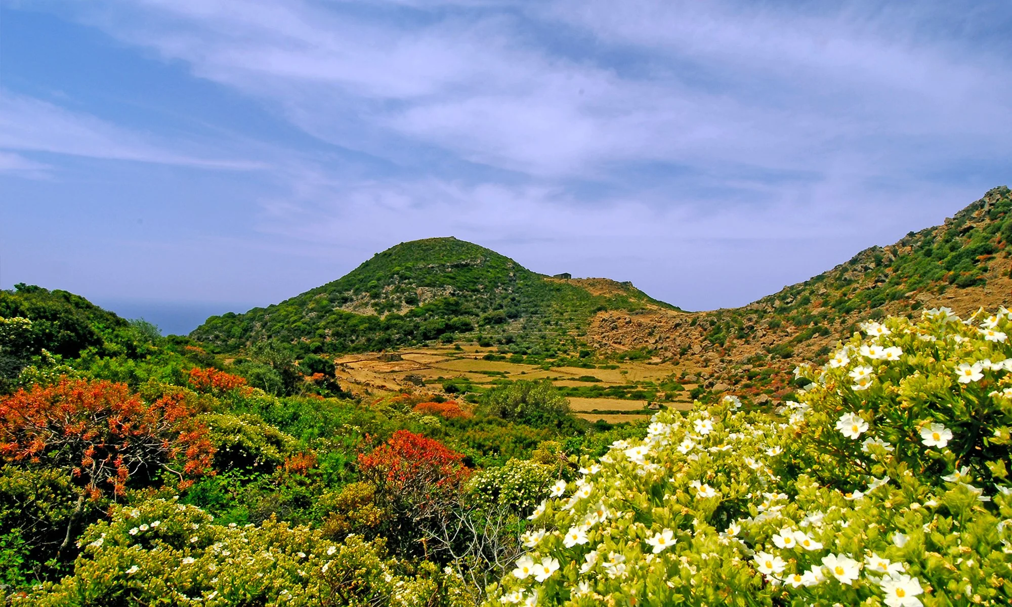 Pantelleria_05.jpg