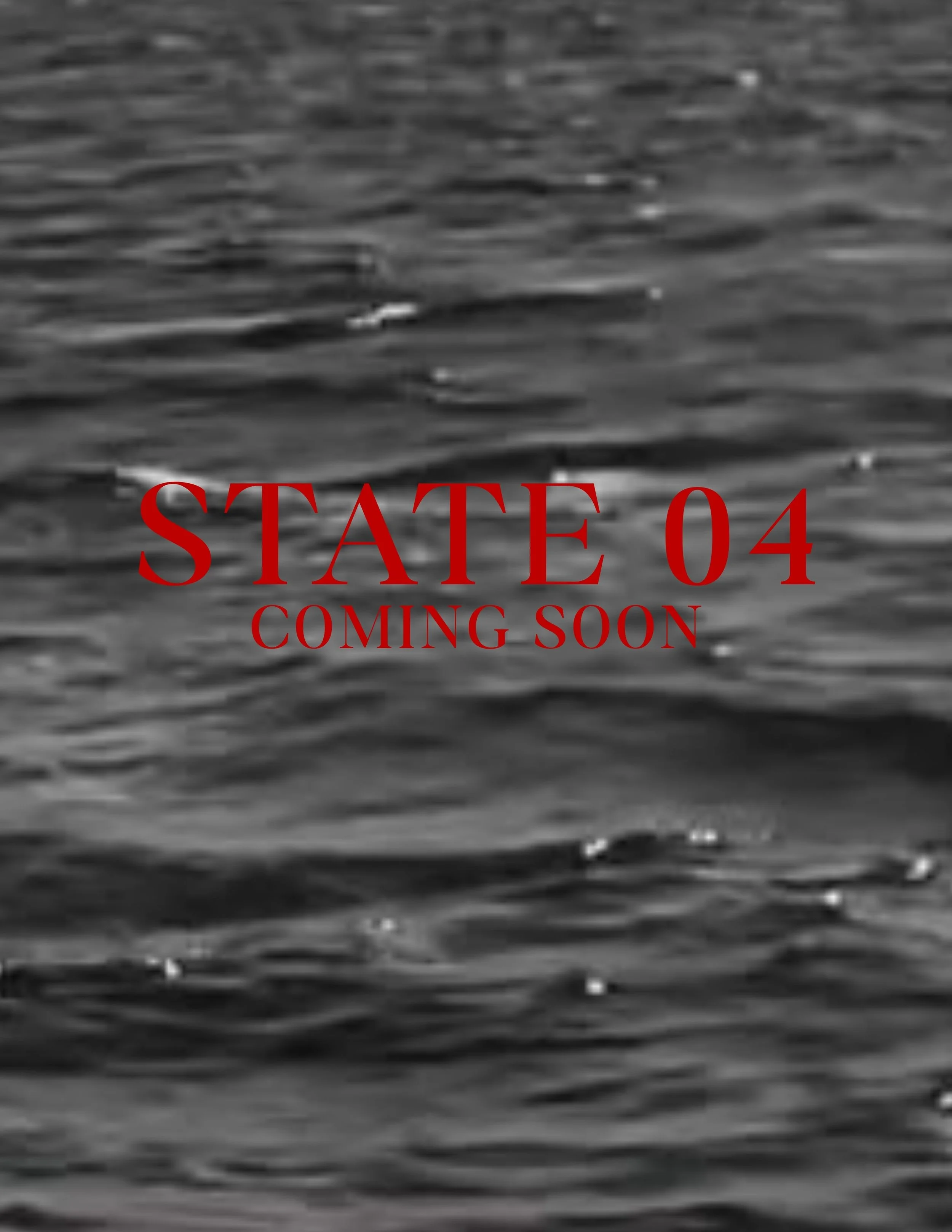 THE SUMMER STATE