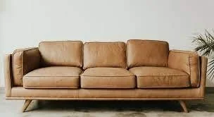 Tan leather sofa with wooden legs in a living room, with a plant in the background.