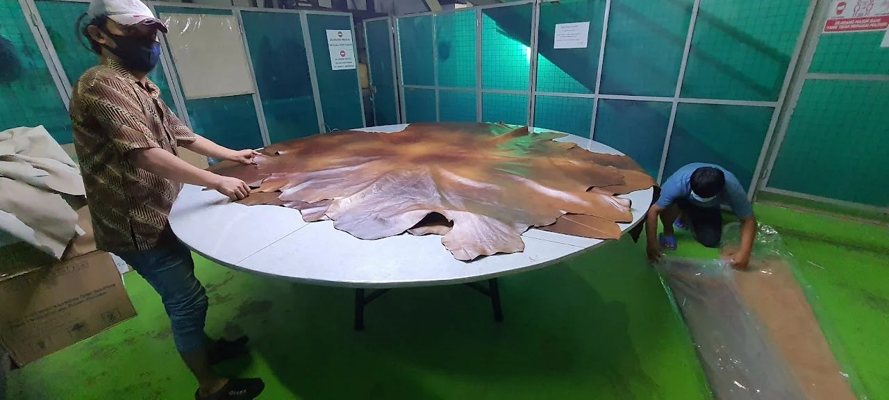 Two people handling large dried leather pieces on a round table, with one person standing and the other kneeling, in an indoor workspace.