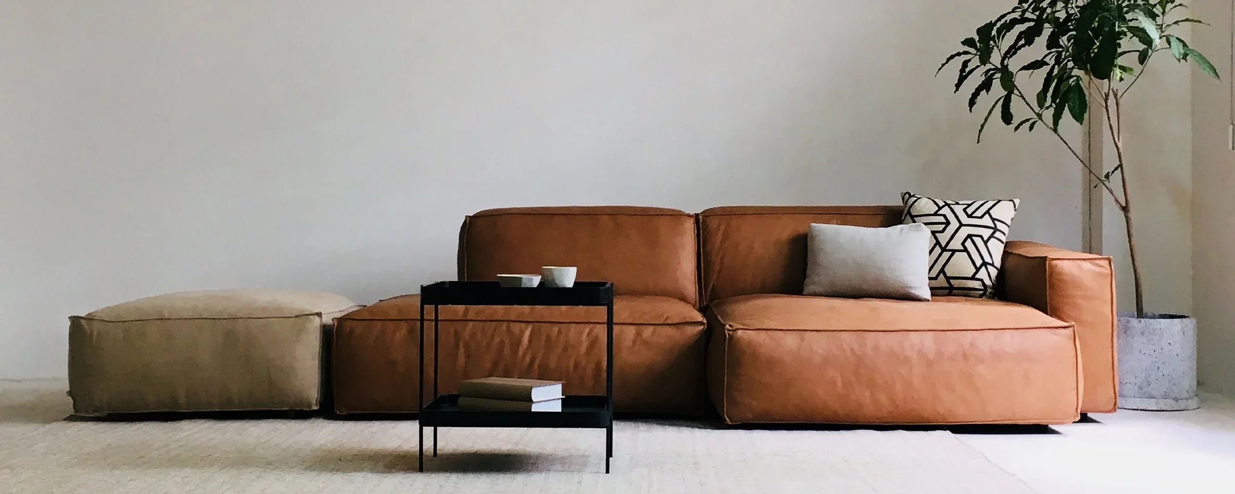 A living room with a brown leather sofa, a matching ottoman, a black side table with bowls, grey and black geometric throw pillows, and a tall potted plant in a concrete planter against a plain white wall.