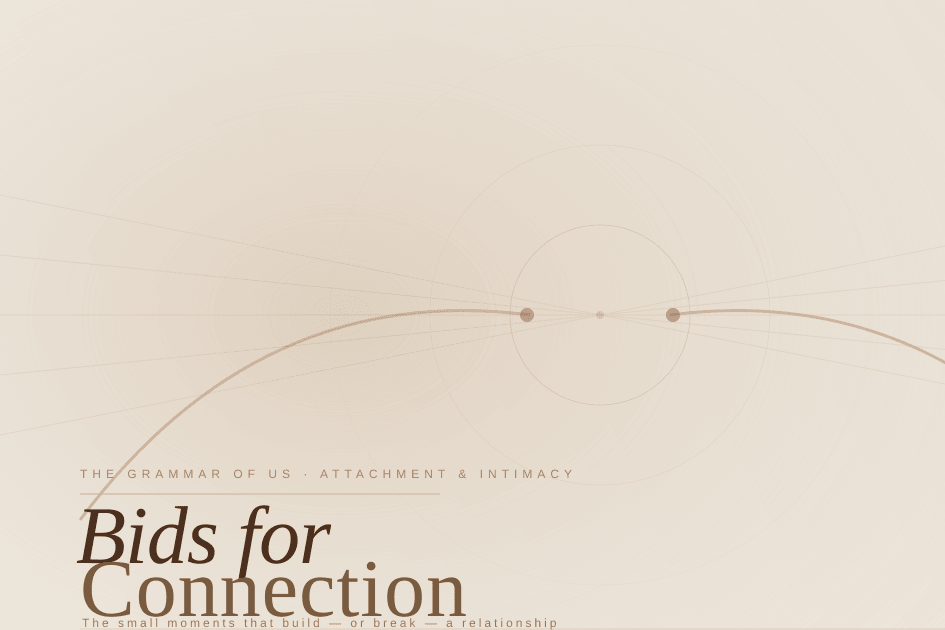 Bids for Connection