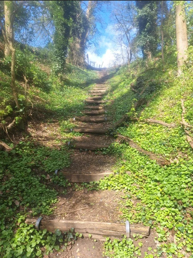 Houten trap in een bos, omlijst door groene planten en bomen, met een heldere blauwe lucht bovenaan.