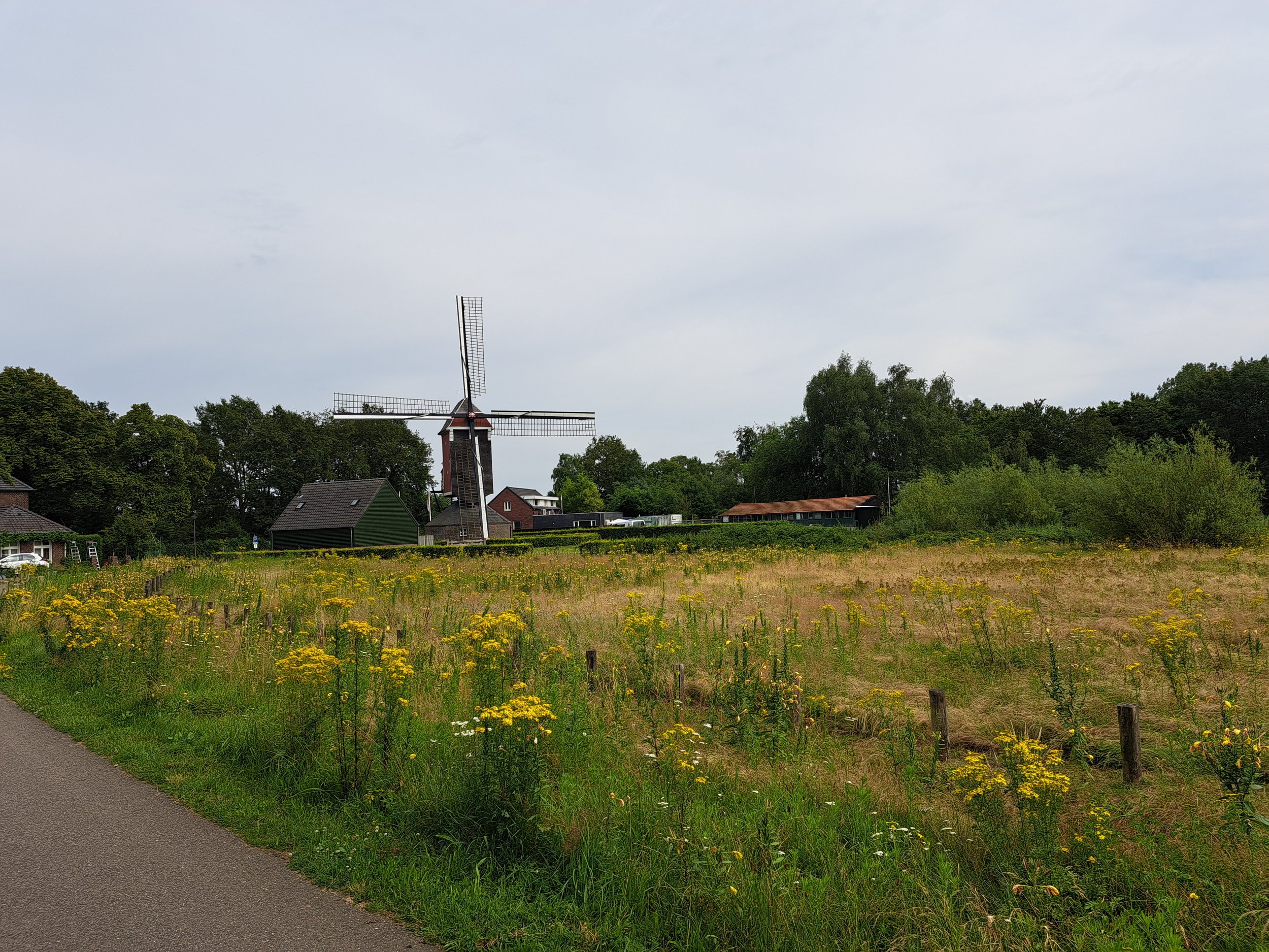 Een landschap met een windmolen, diverse huizen en veel groen, onder een bewolkte hemel.