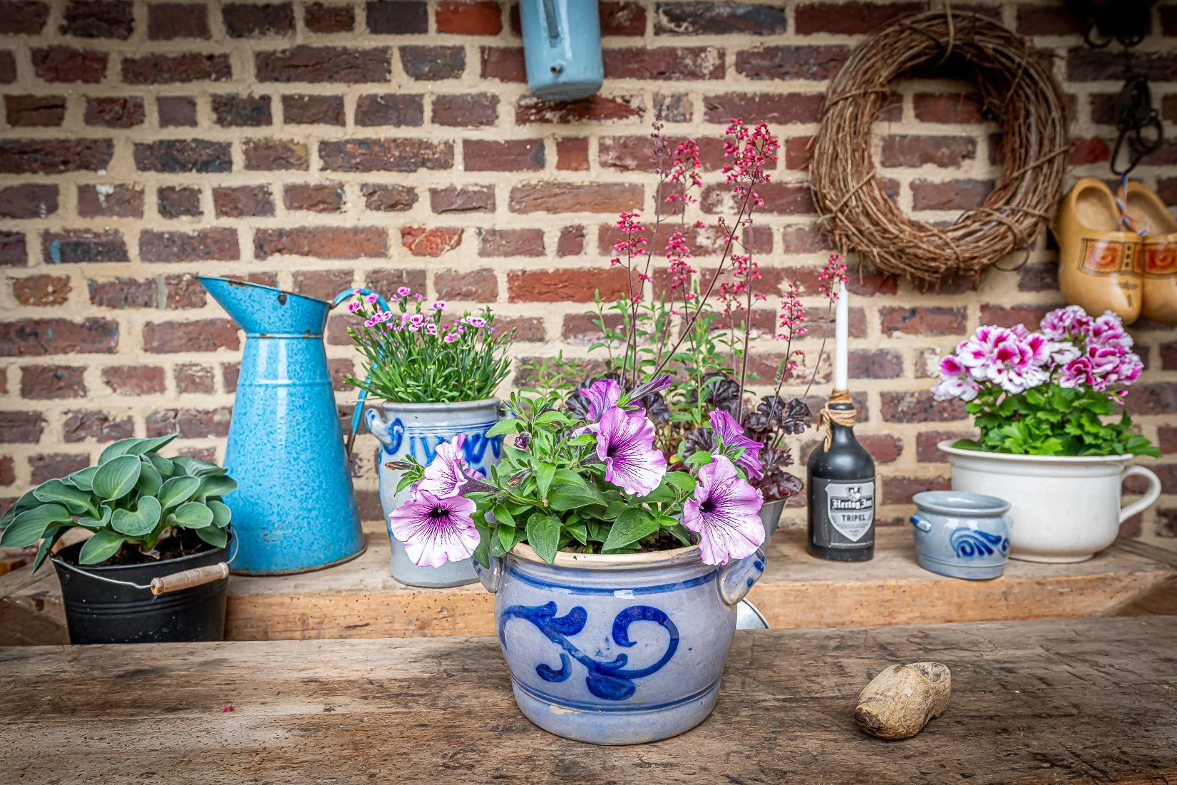 Een houten tafel met diverse planten in potten, waaronder petunia's en andere bloemen, een blauwe waterkruik, een zwart flesje met een label, en een steen, tegen een bakstenen muur met een wijnrankenkrans en een paar houten klompjes.