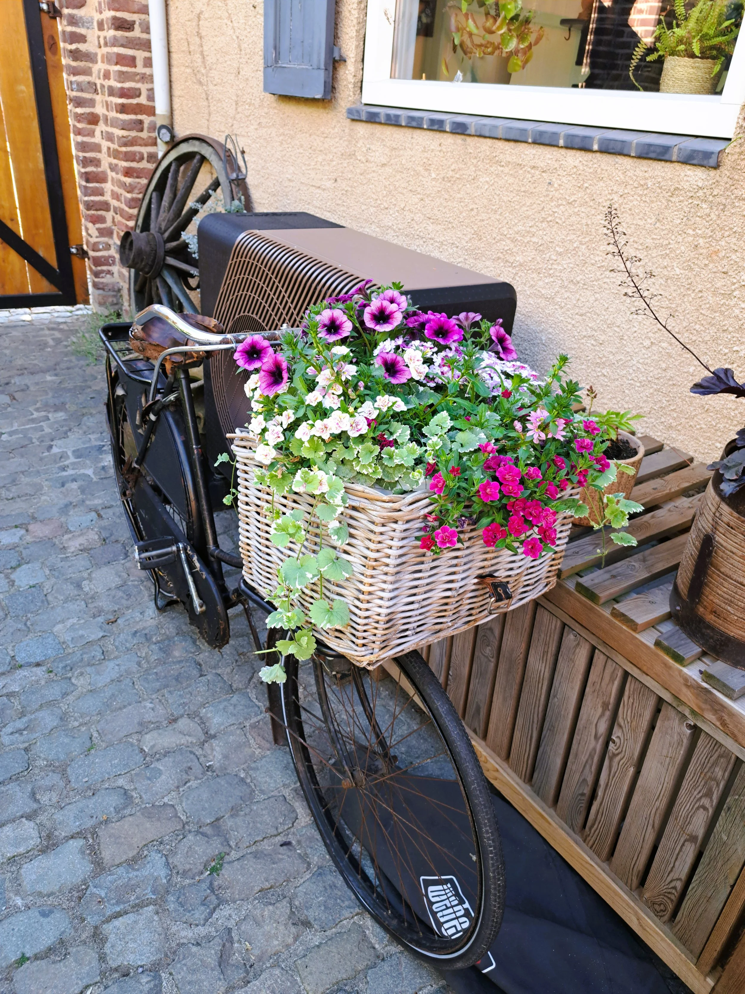 B&B Aan-de-Bogen-Nieuwstadt-fiets-bloemen.jpg