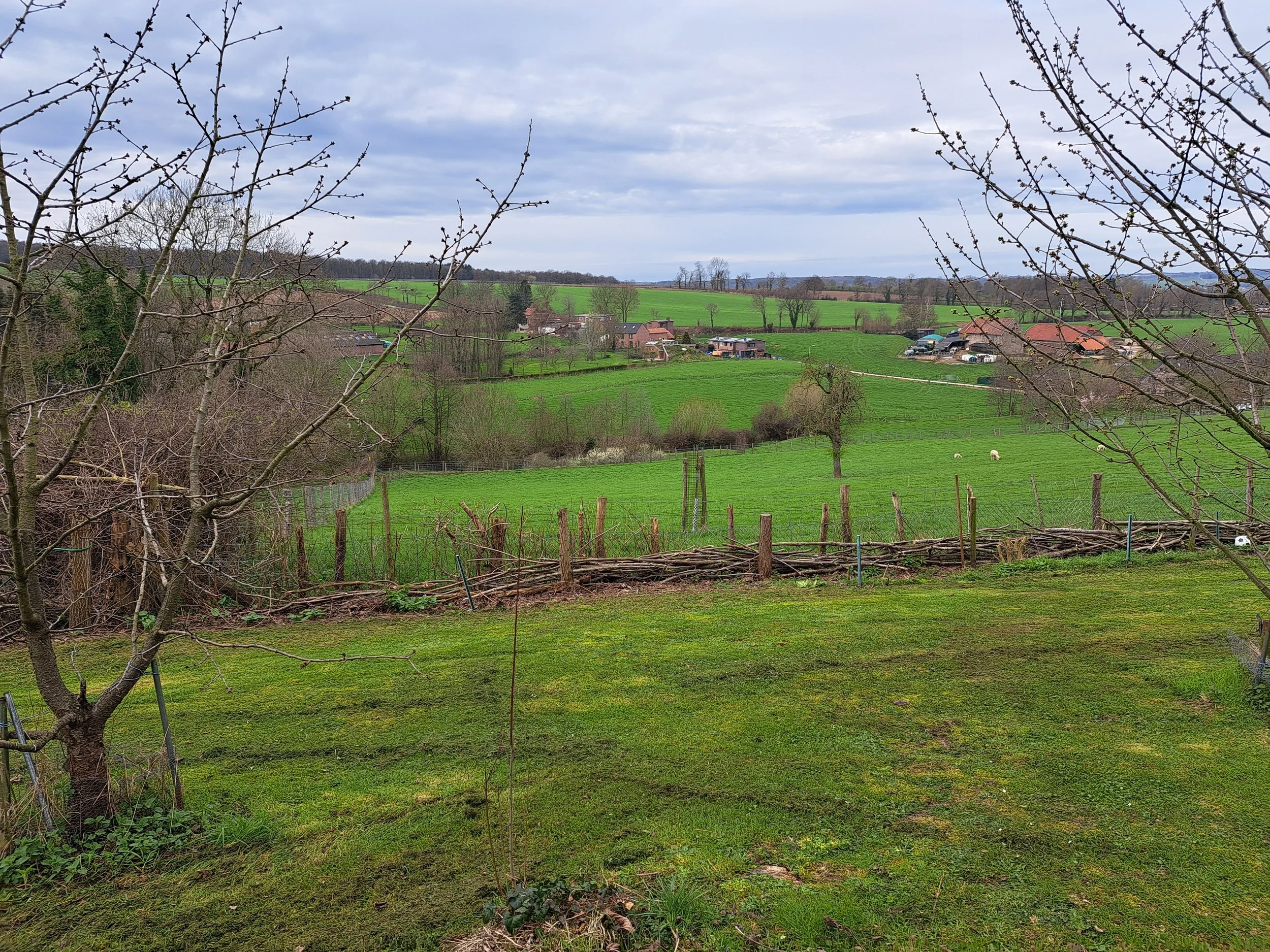 Een landschap met groene velden, enkele huizen, bomen en een bewolkte blauwe lucht.