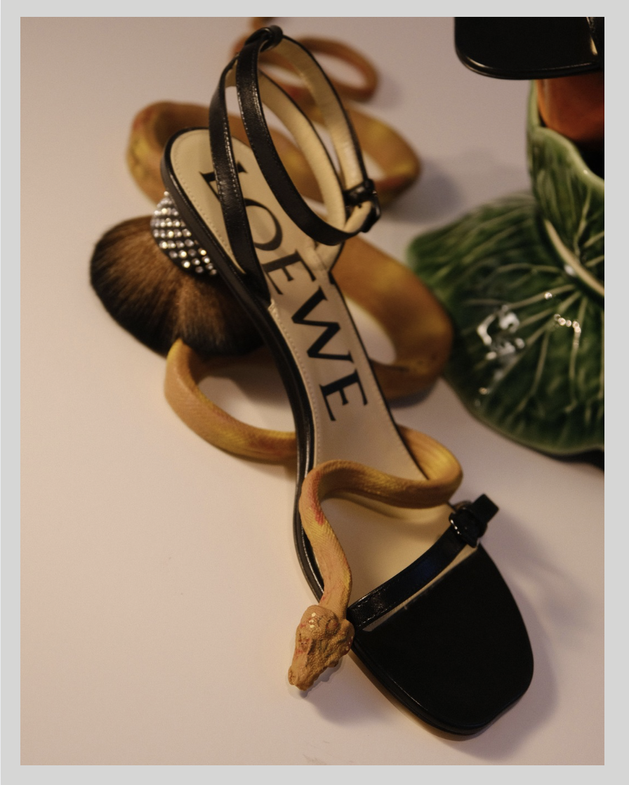 Loewe Shoes sandal strass
