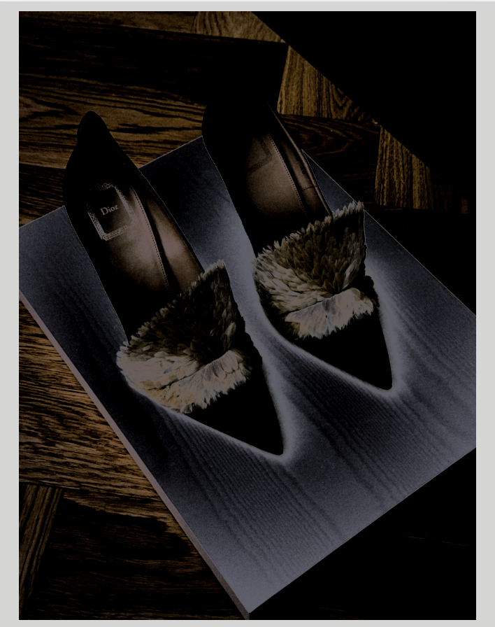 Dior scarpin with feathers