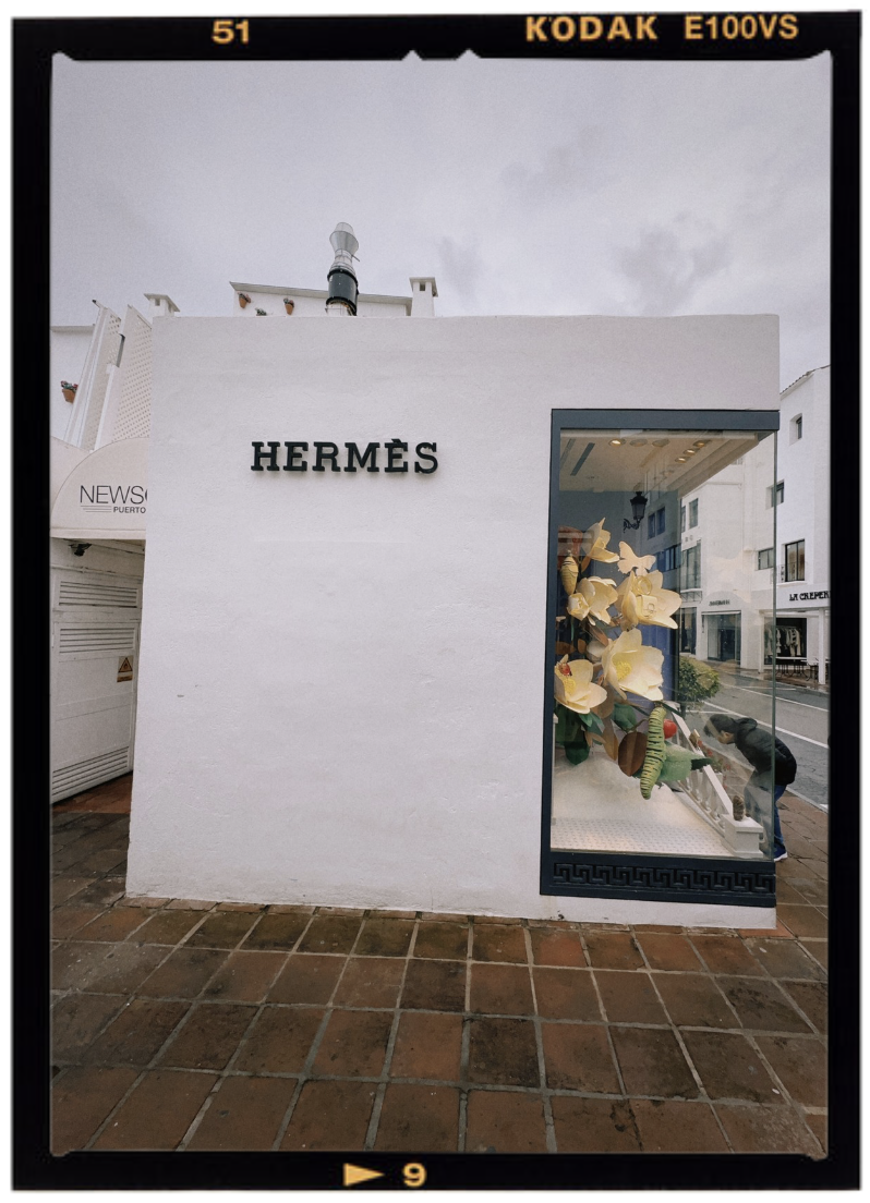 hermes store window photo