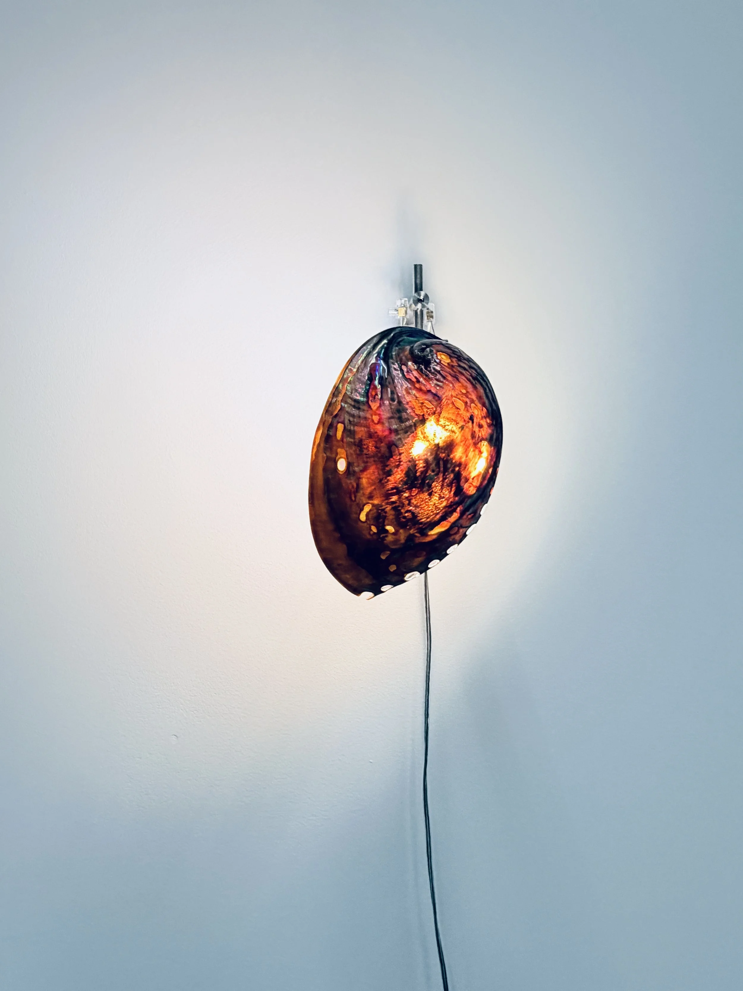 shell art lamp