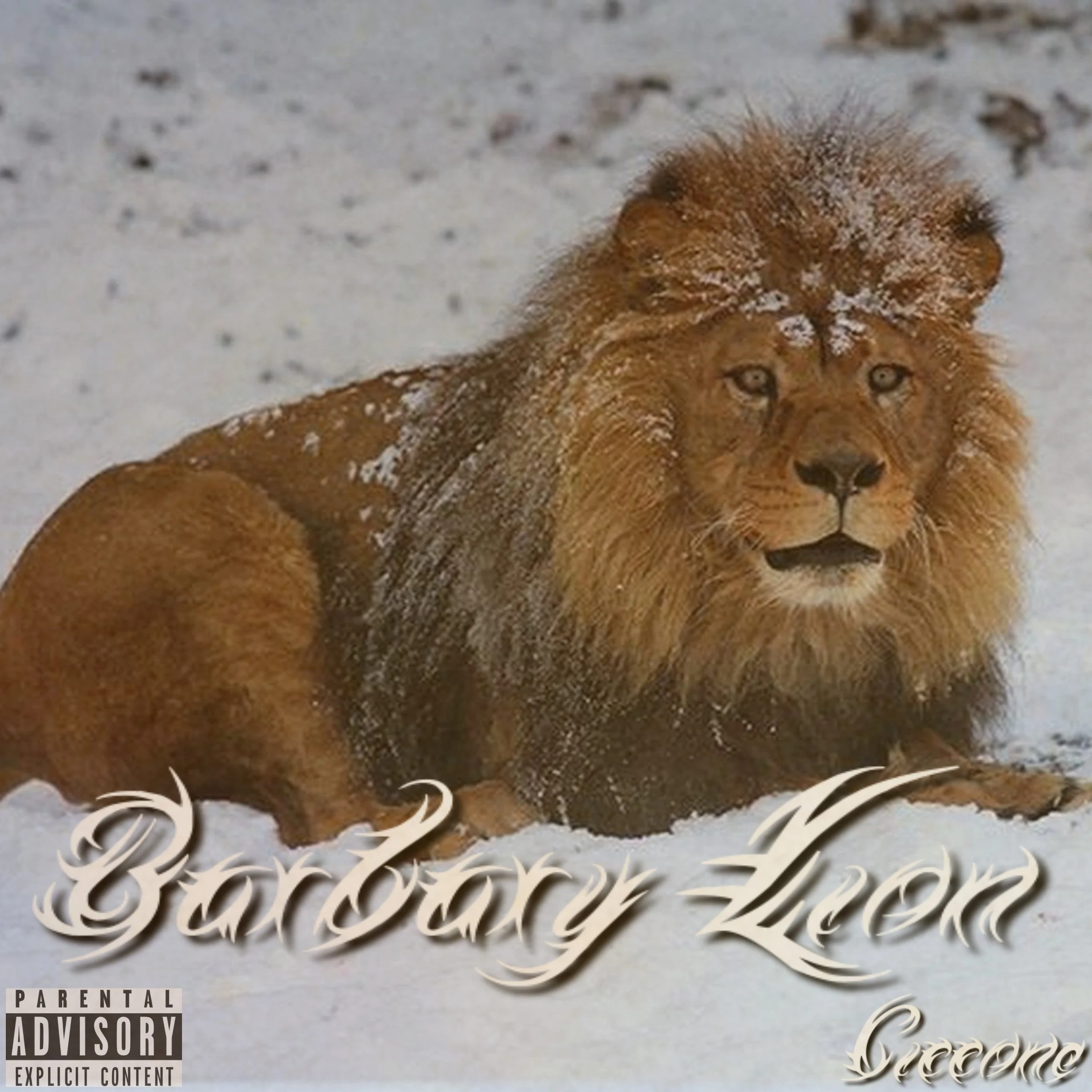 Barbary Lion