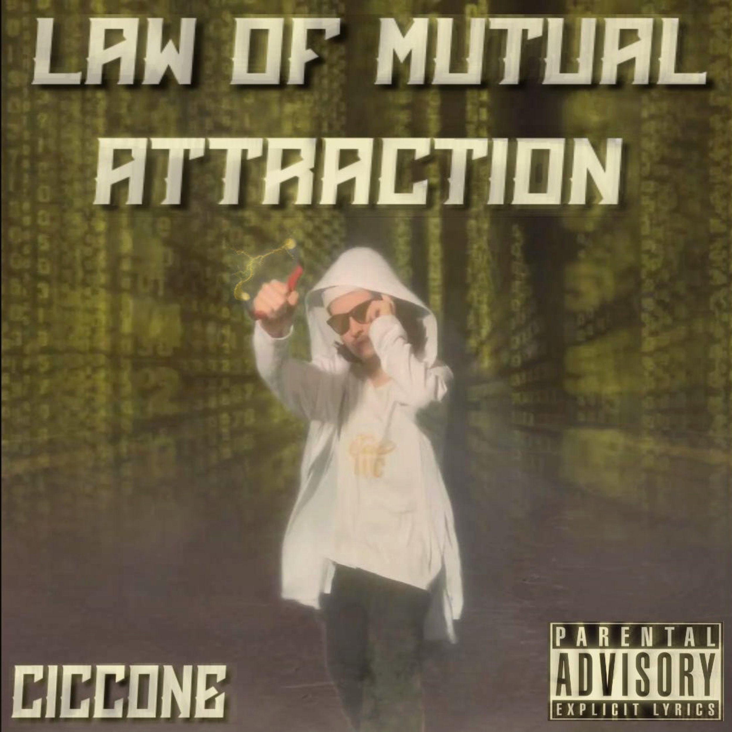 Law Of Mutual Attraction
