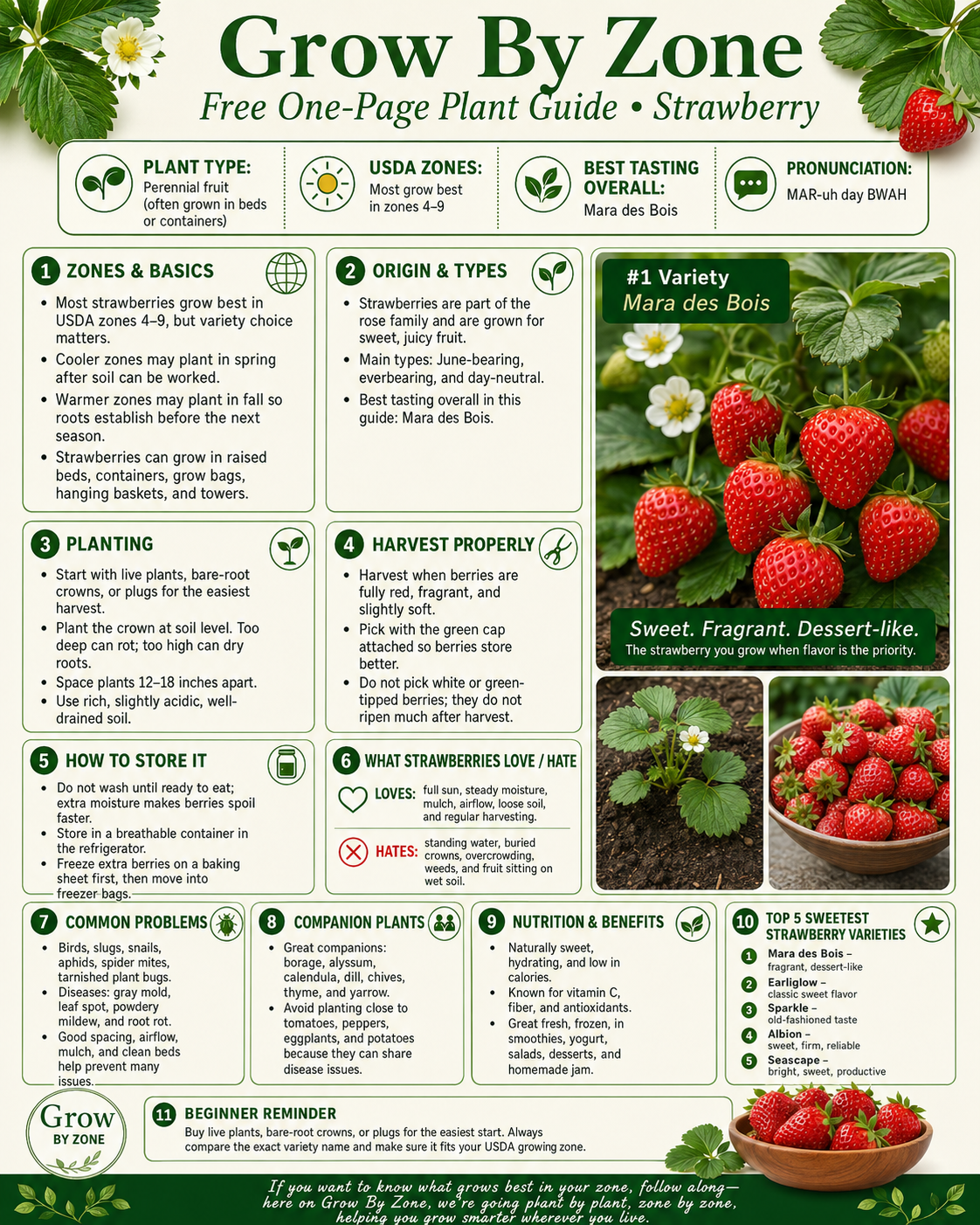 Strawberry