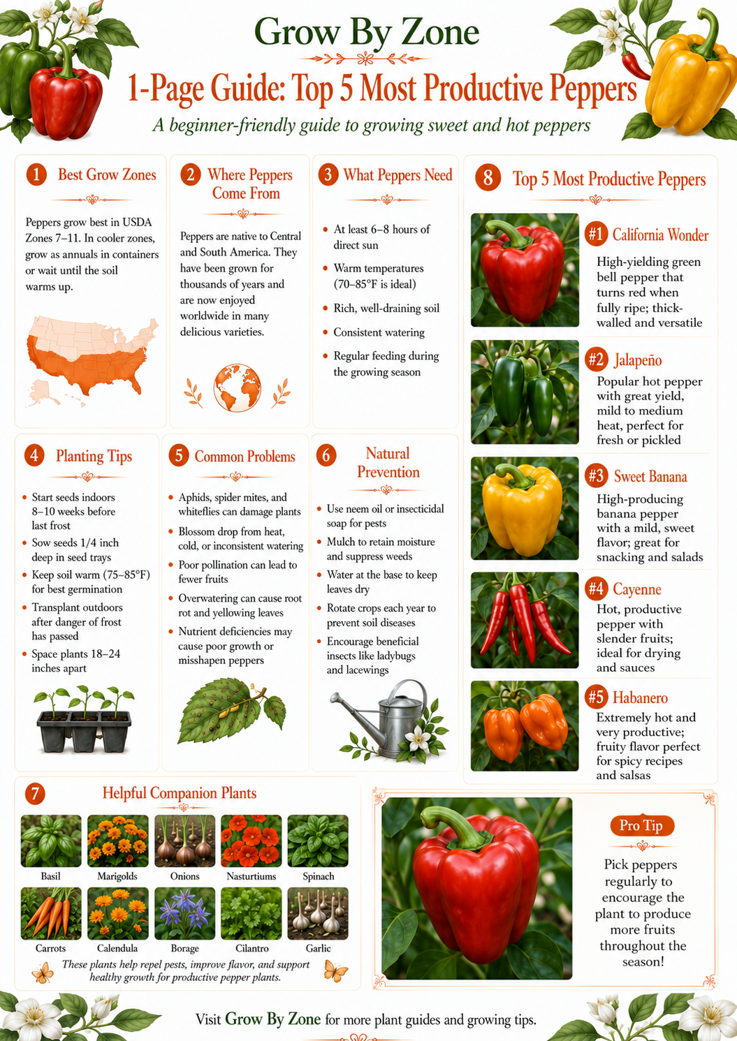 Peppers