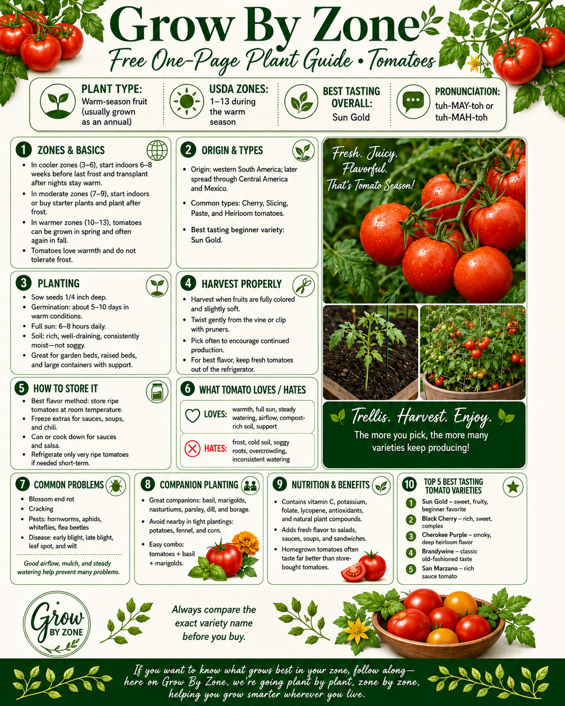 Tomato