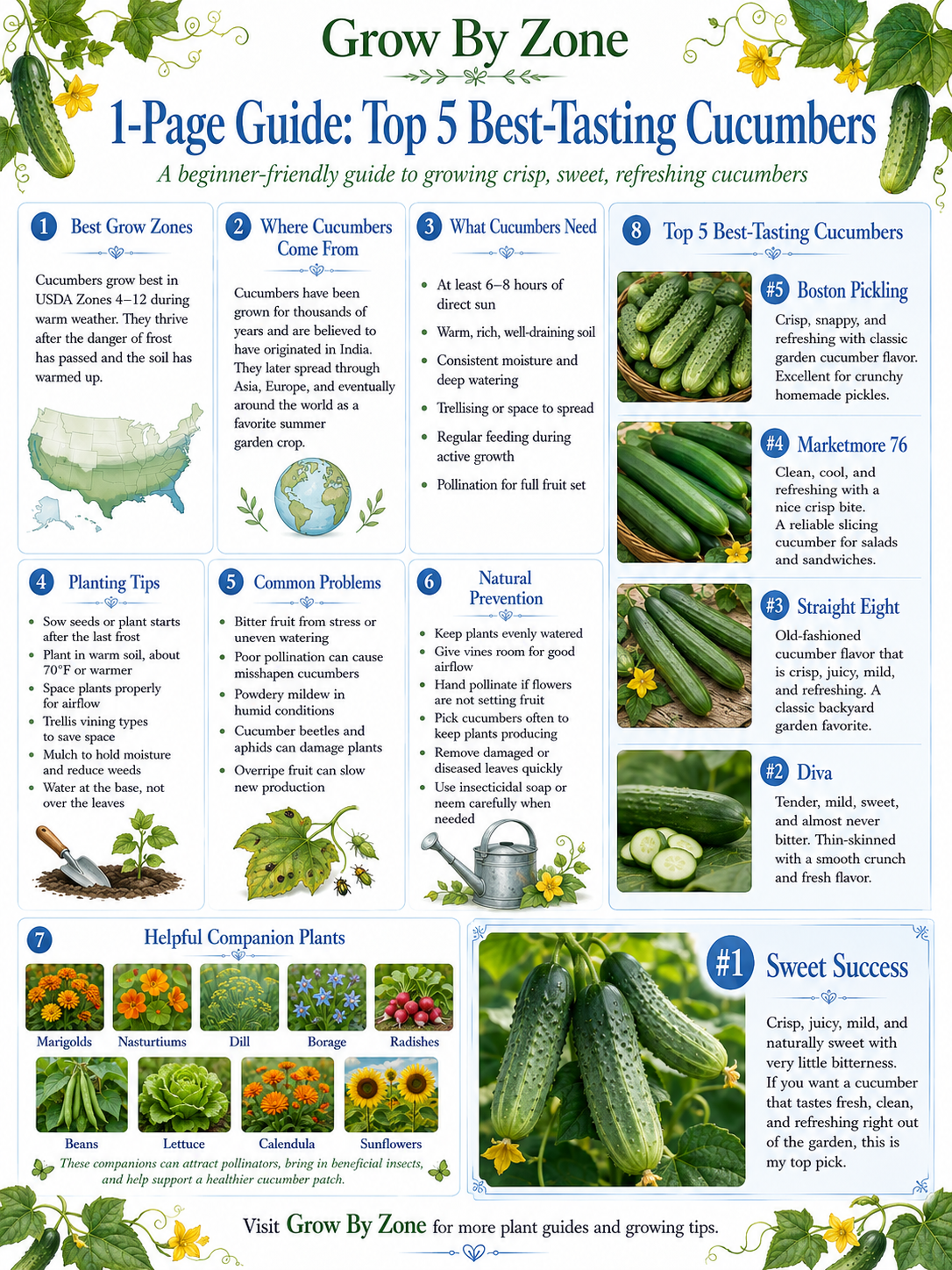 Cucumber