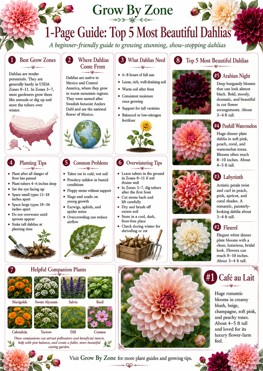 ChatGPT Image Jun 15, 2026, 12_03_19 PM.png
