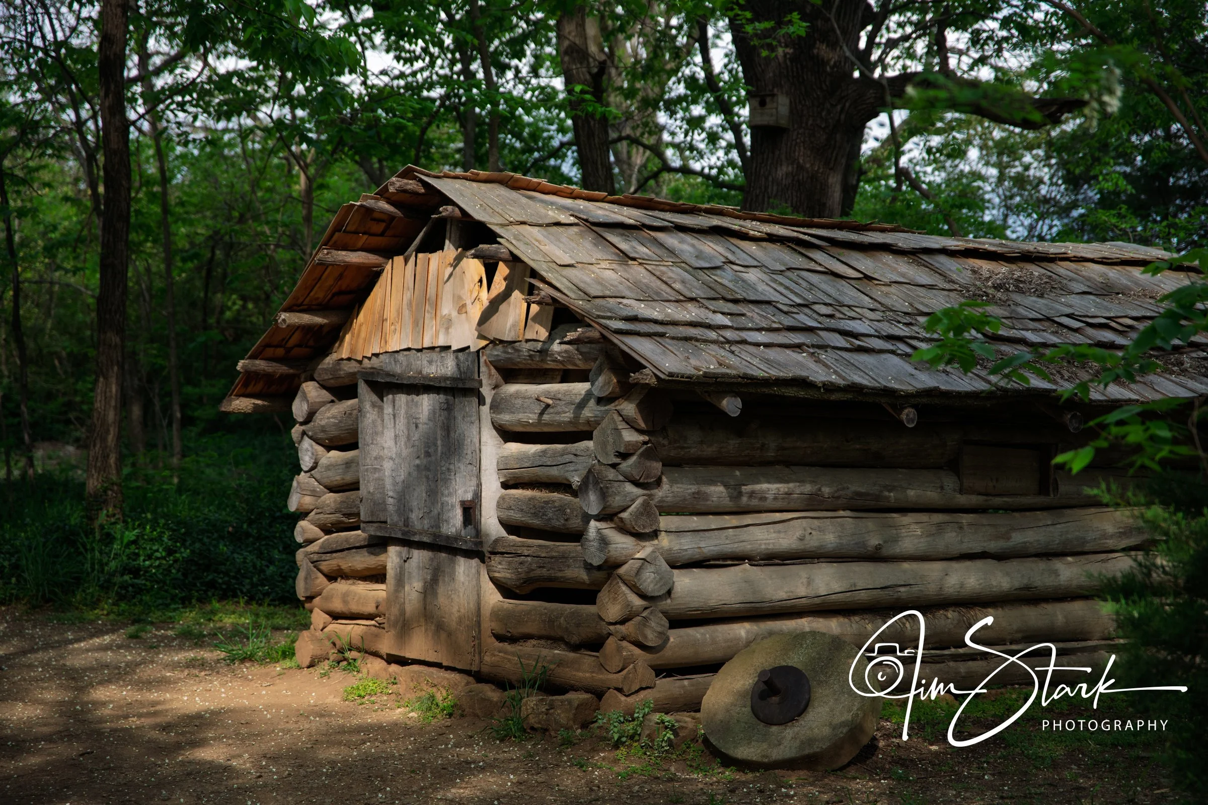 Cabin in the Woods