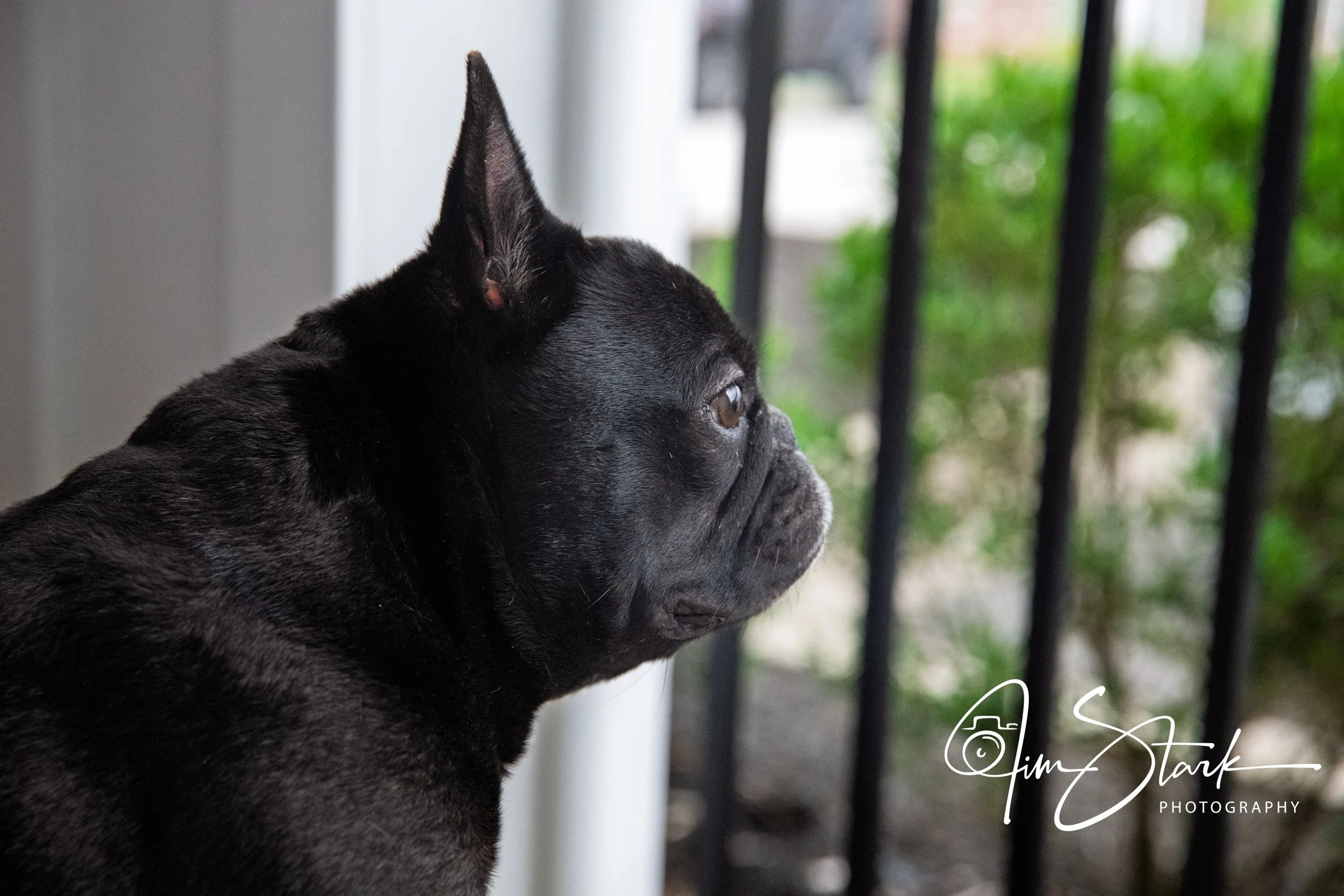 DSC_3955.jpg