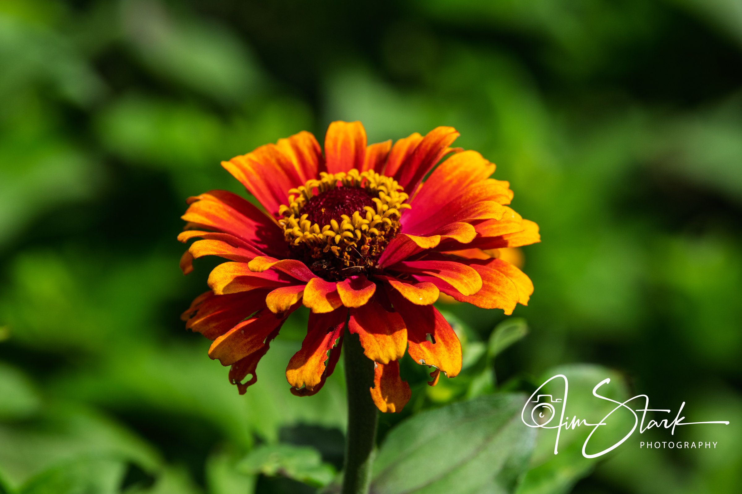 DSC_3428.jpg