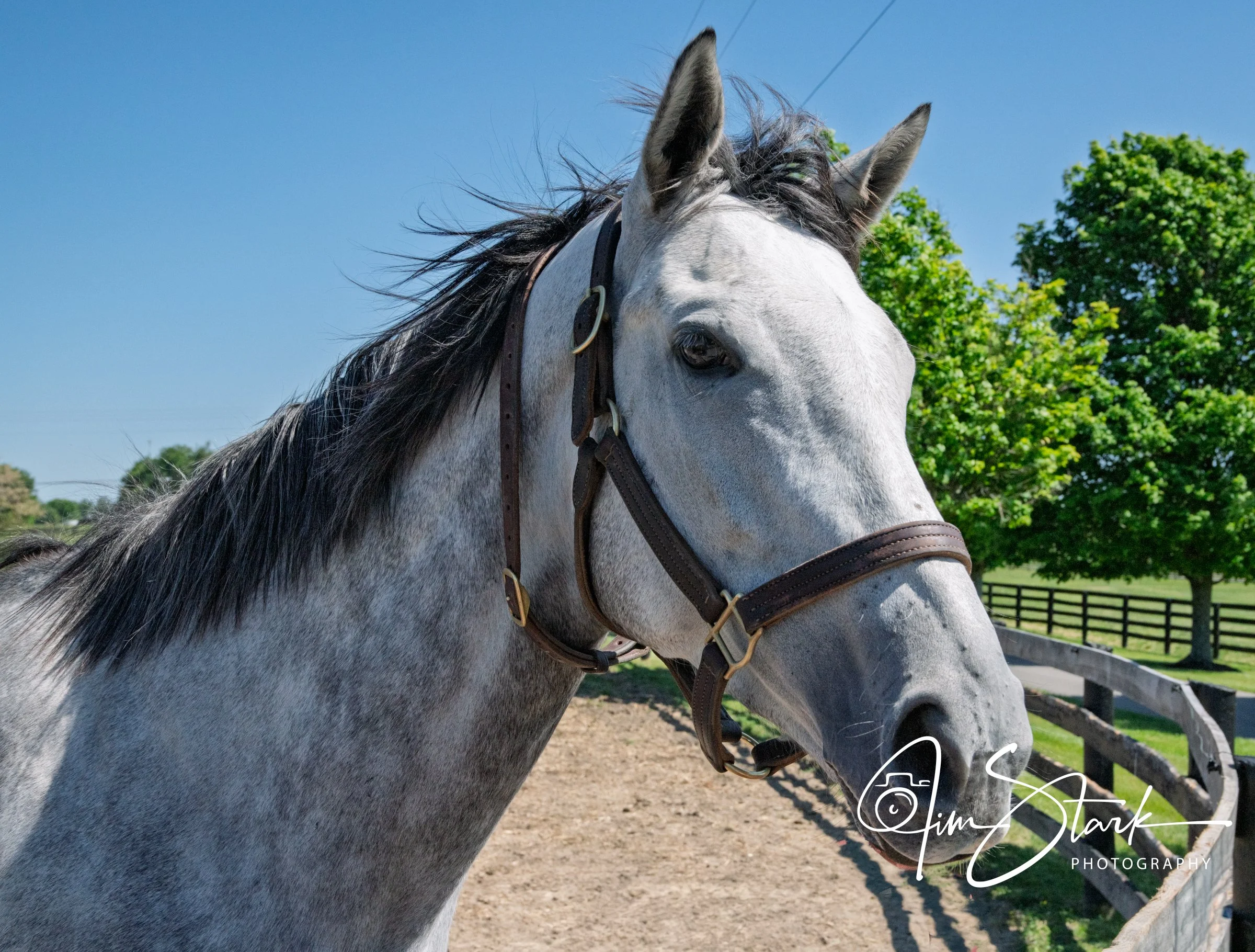 DSC_2675-Edit.jpg