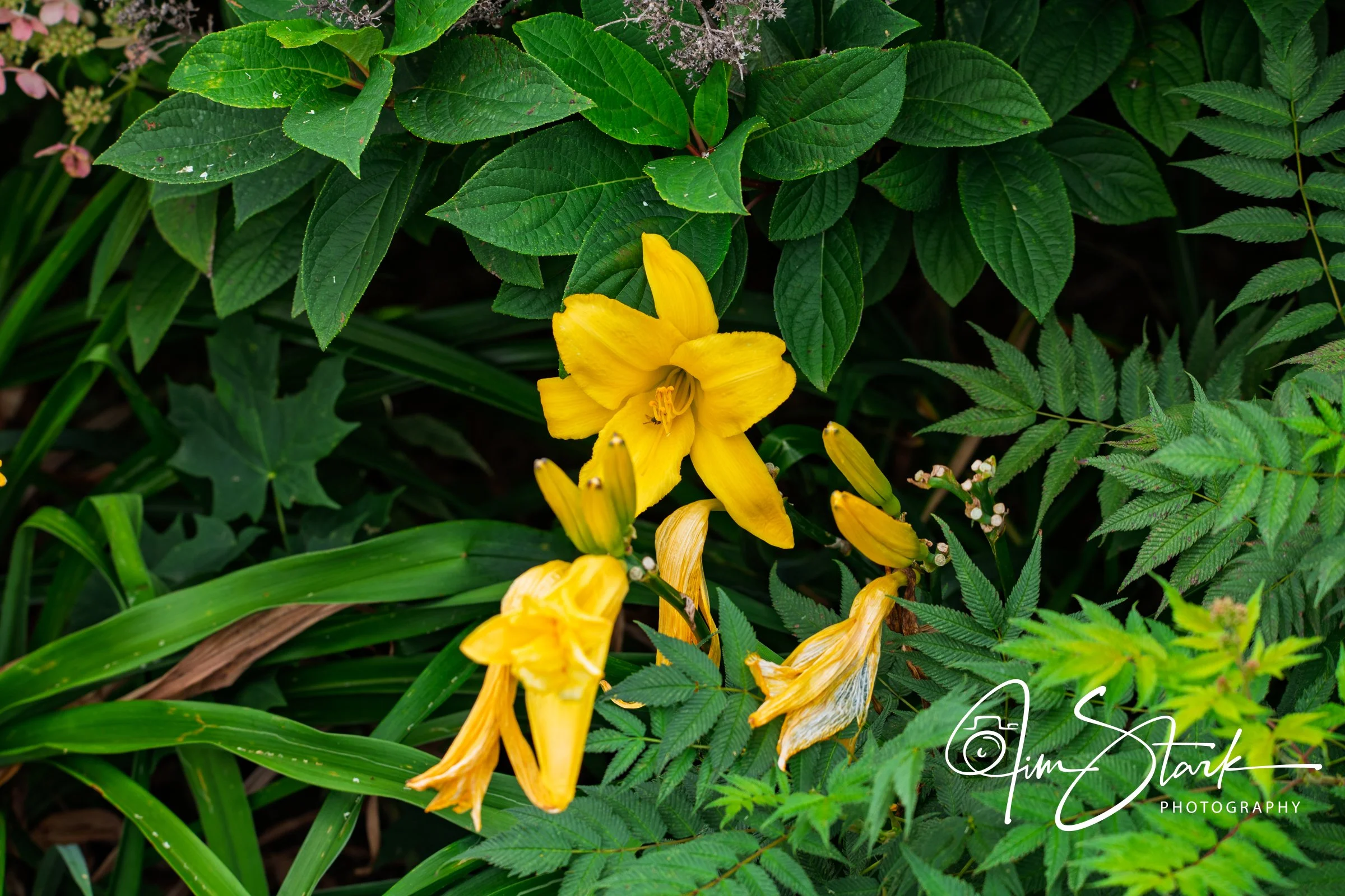 DSC_3284.jpg