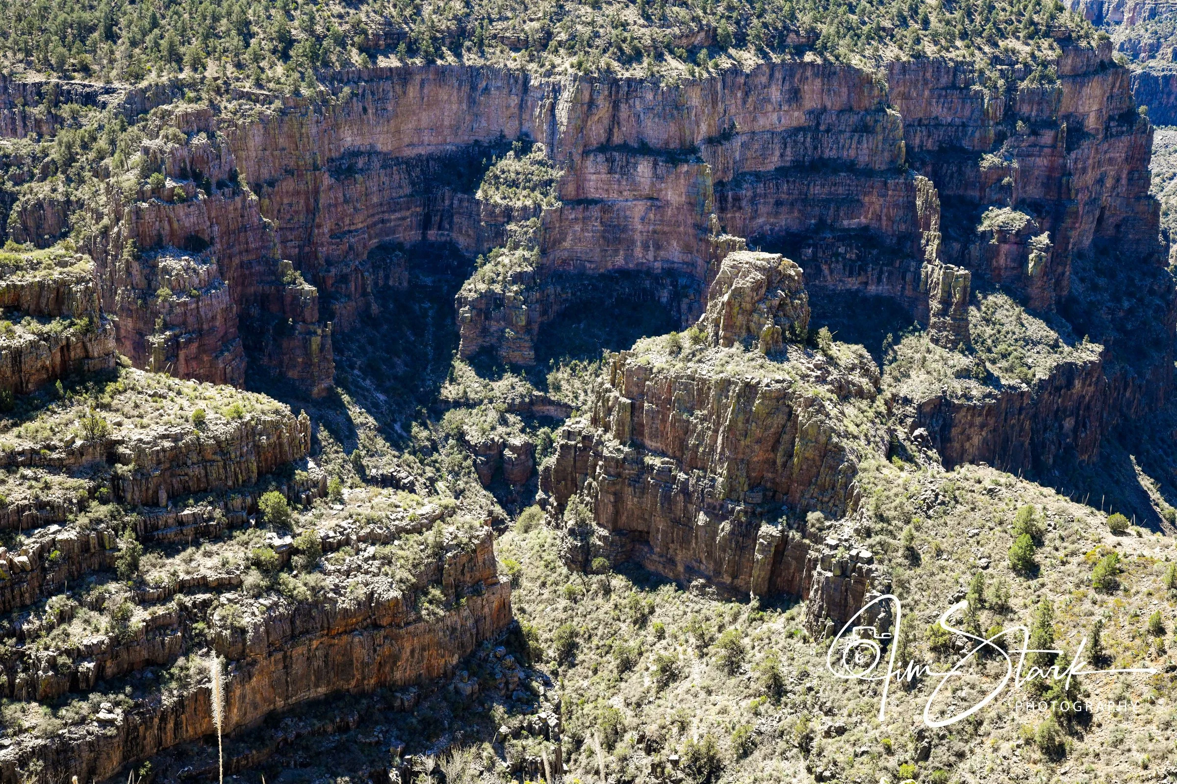 DSC_0507.jpg