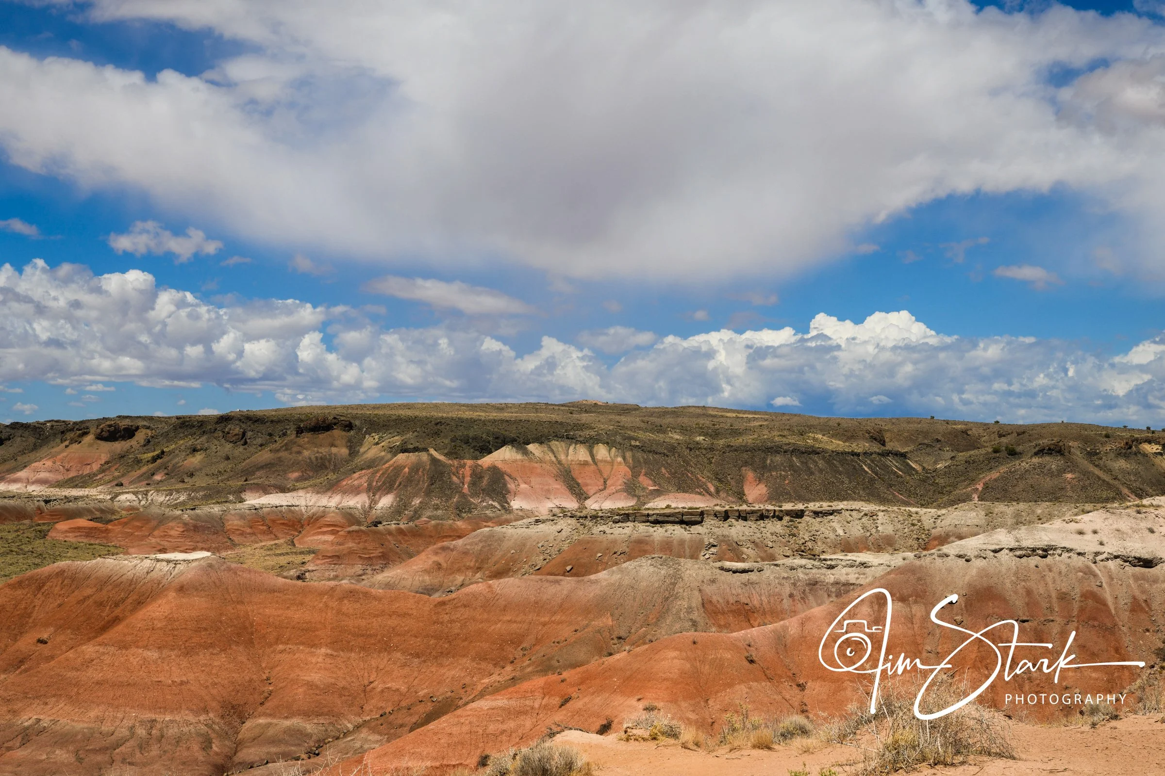 DSC_0428.jpg