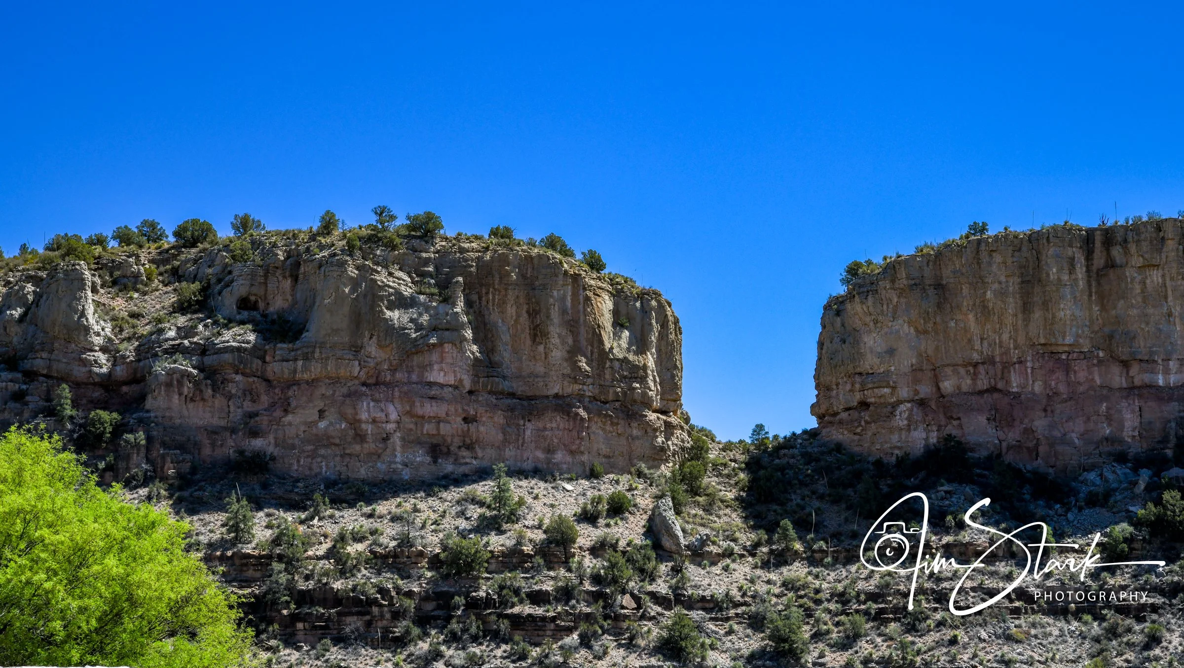 DSC_0501.jpg