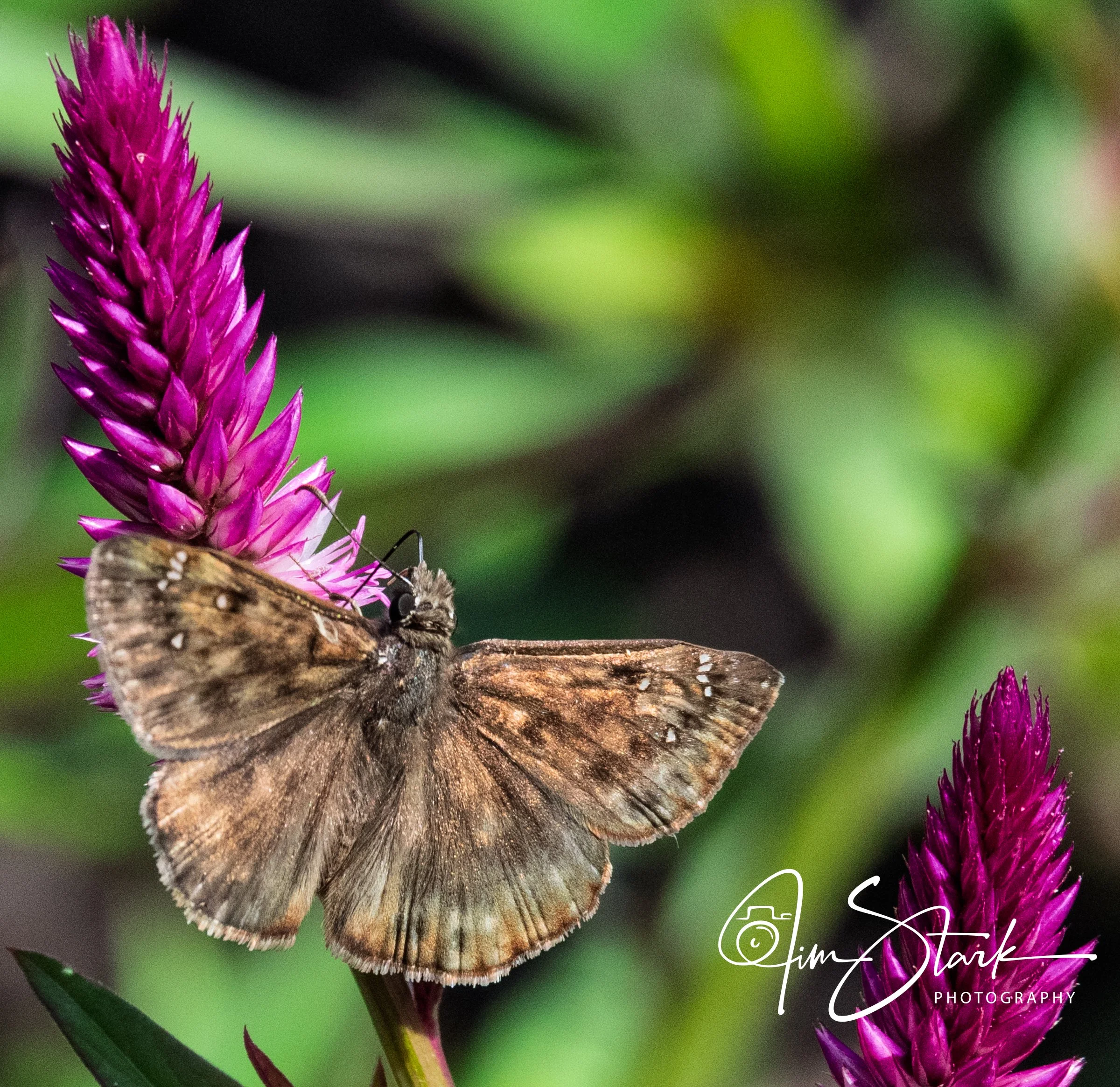 DSC_3418.jpg