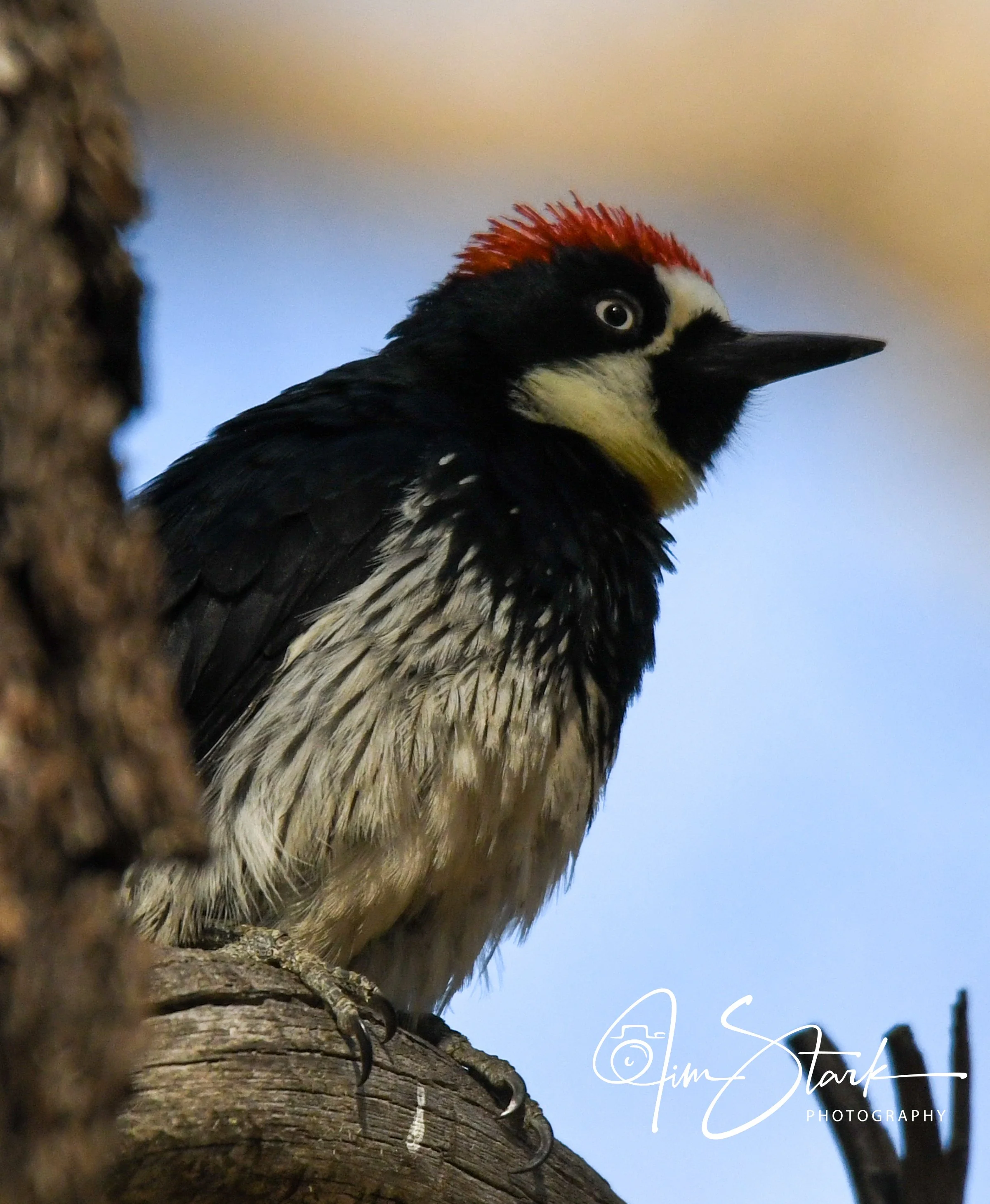 DSC_0566.jpg