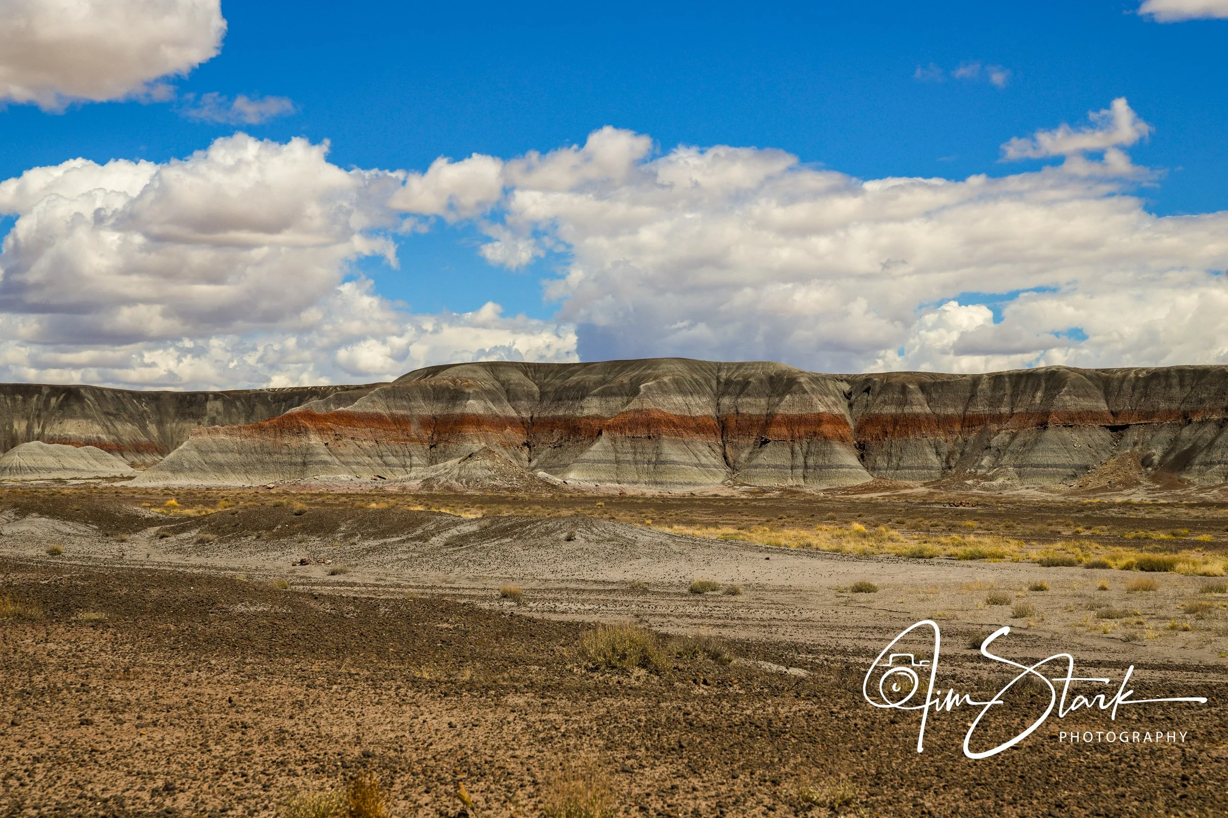 DSC_0413.jpg
