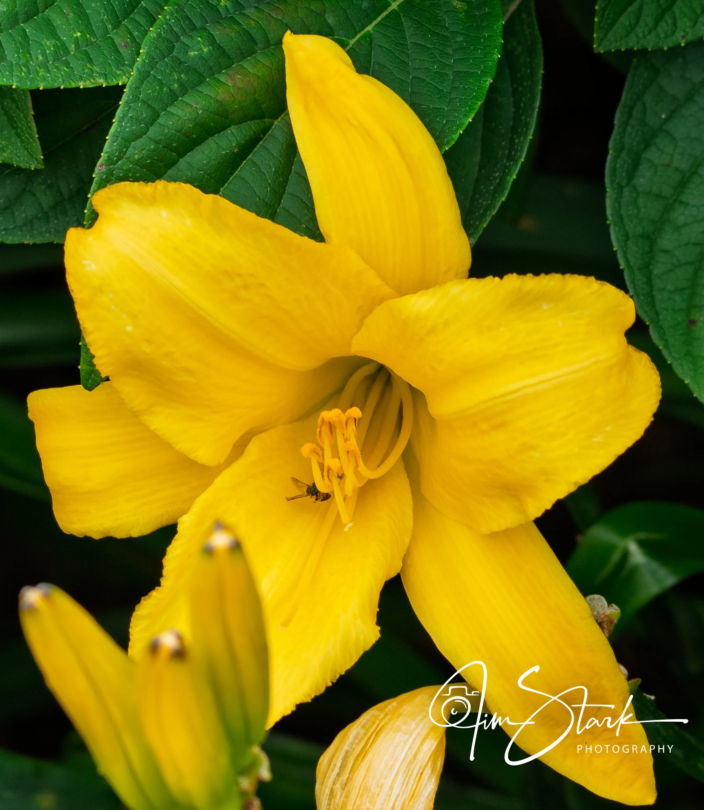 DSC_3284-2.jpg