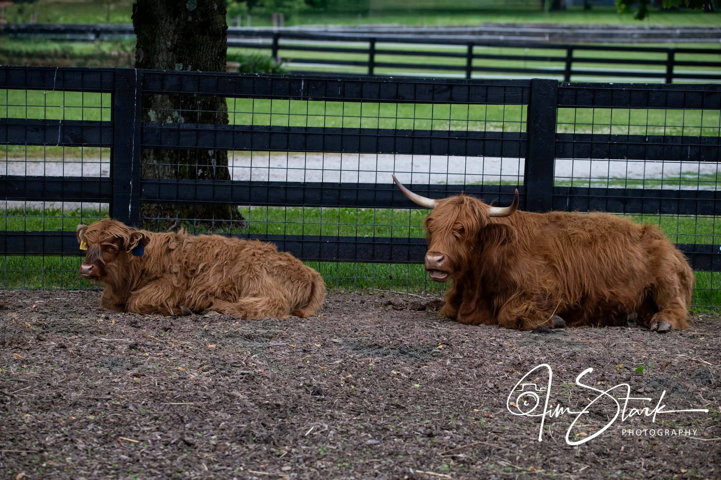 DSC_2756-Edit.jpg