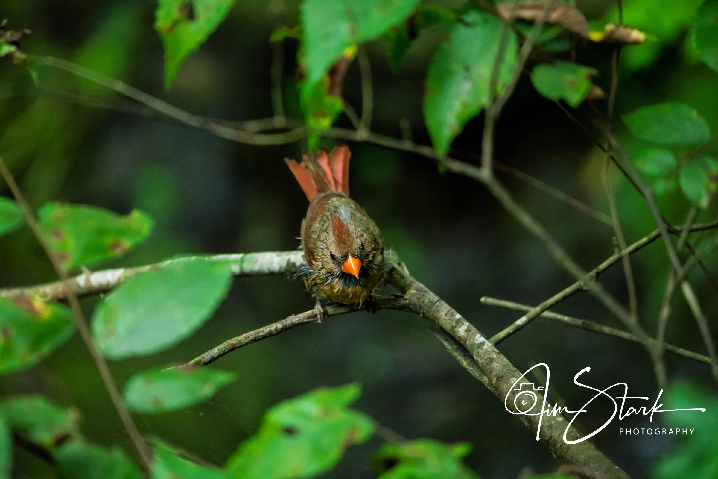 DSC_4495.jpg