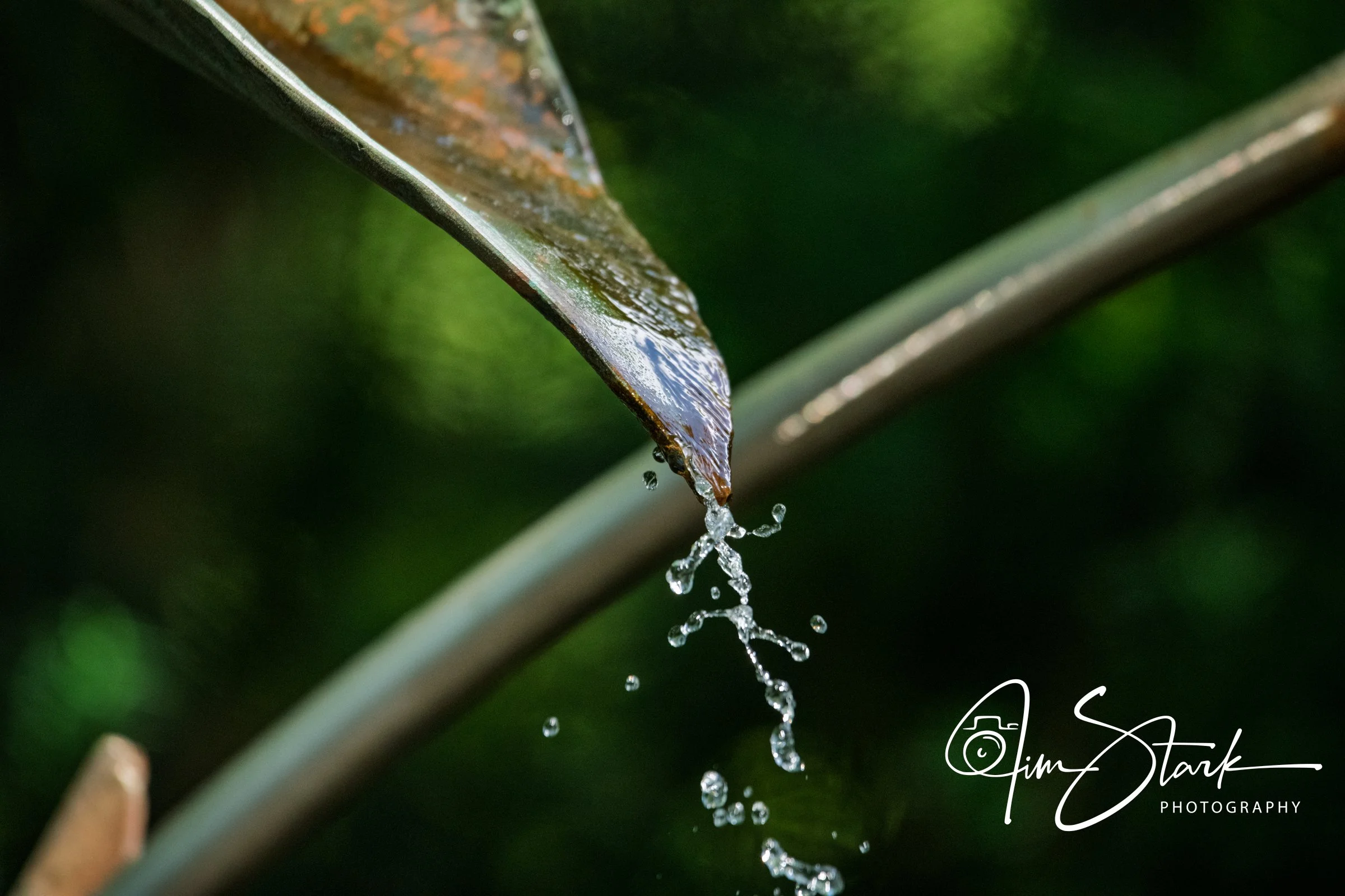 DSC_3491.jpg