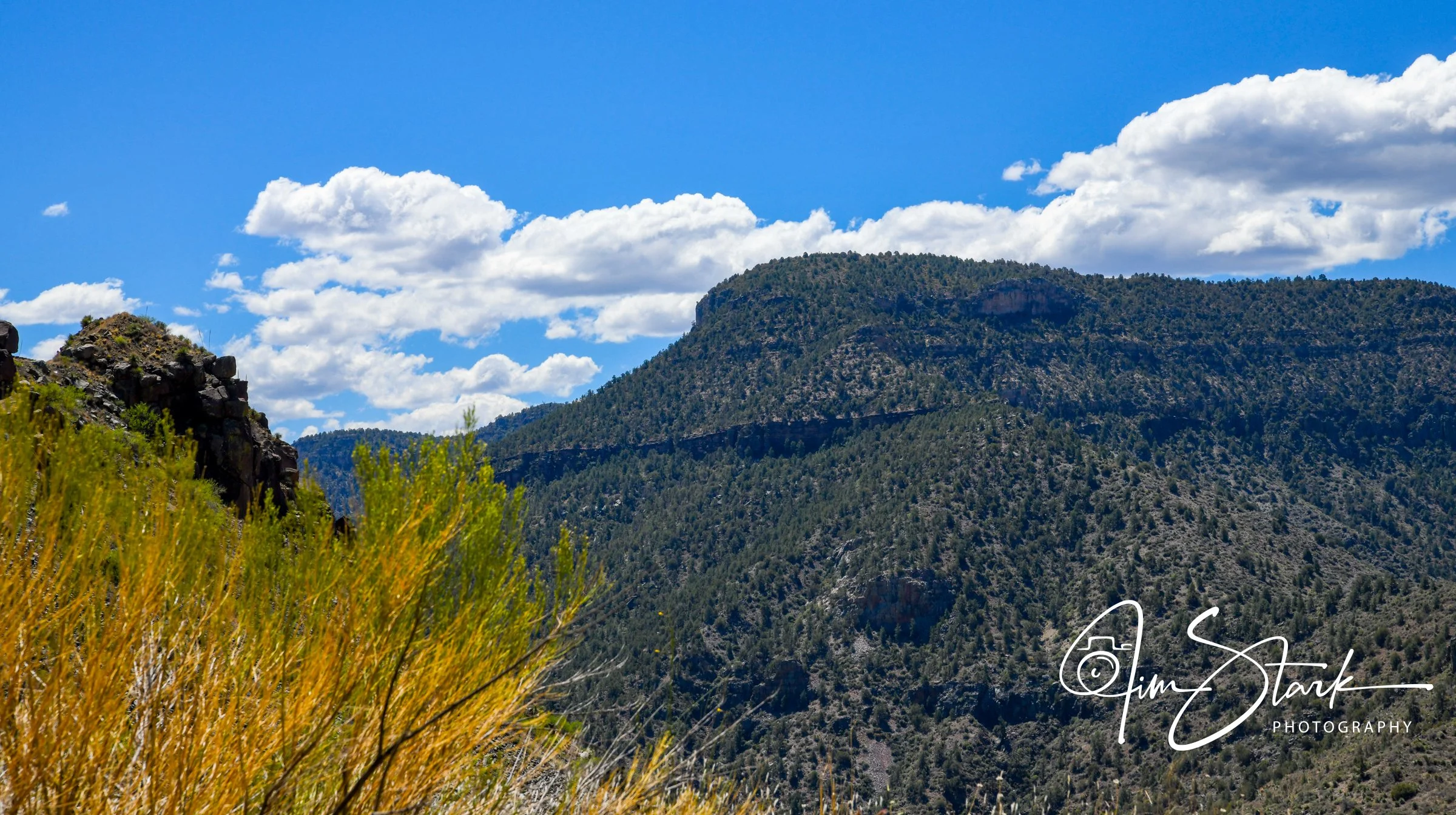 DSC_0519.jpg
