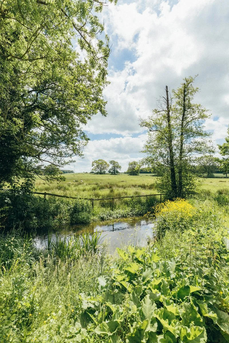 A lush green landscape with trees, a small water body, and open grassy fields under a partly cloudy sky.