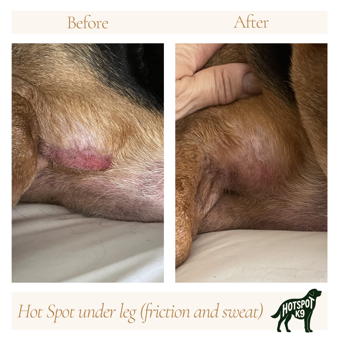 Comparison of dog's leg before and after treatment showing a hot spot. The before image shows a red, inflamed area, while the after image shows reduced redness and healing.