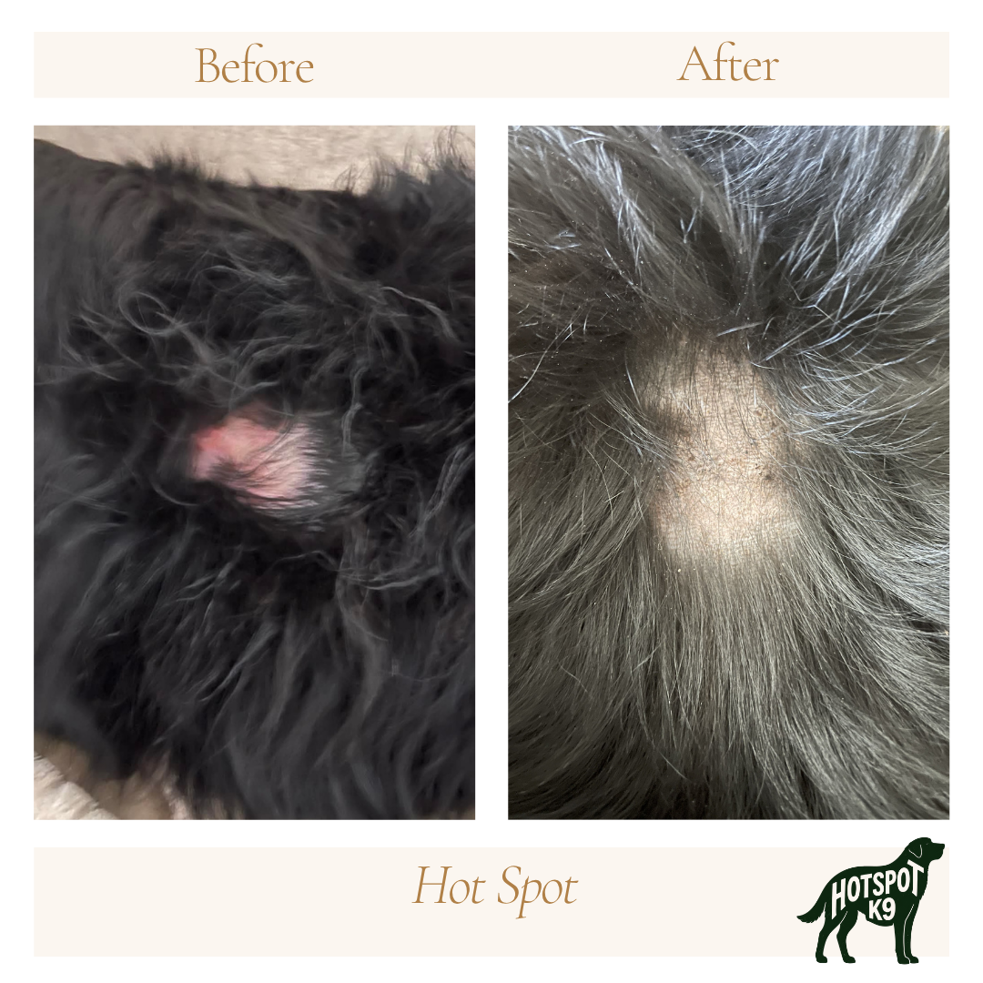 Comparison image showing before and after grooming of a dog with a hot spot. The 'before' side shows the dog's fur around a red, irritated area, and the 'after' side shows the same area with reduced inflammation and cleaned fur. The bottom right corn