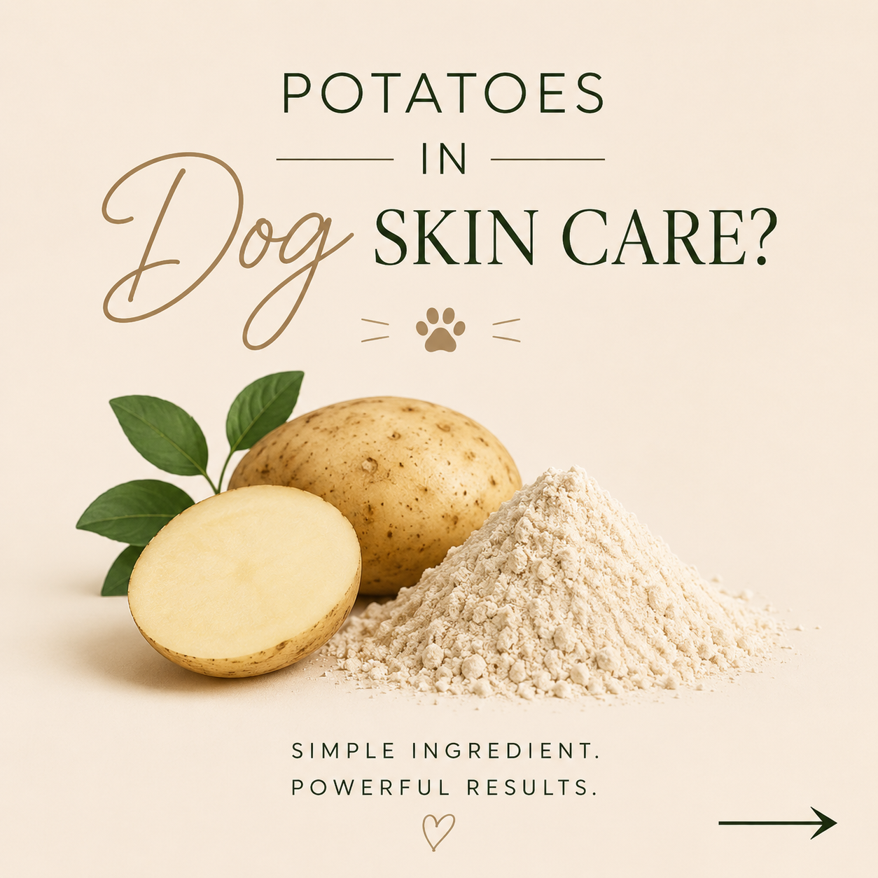 Image of a raw potato, a potato half, and potato flour with leaves, with text promoting potatoes in dog skin care and mentioning simple ingredients for powerful hotspot results.
