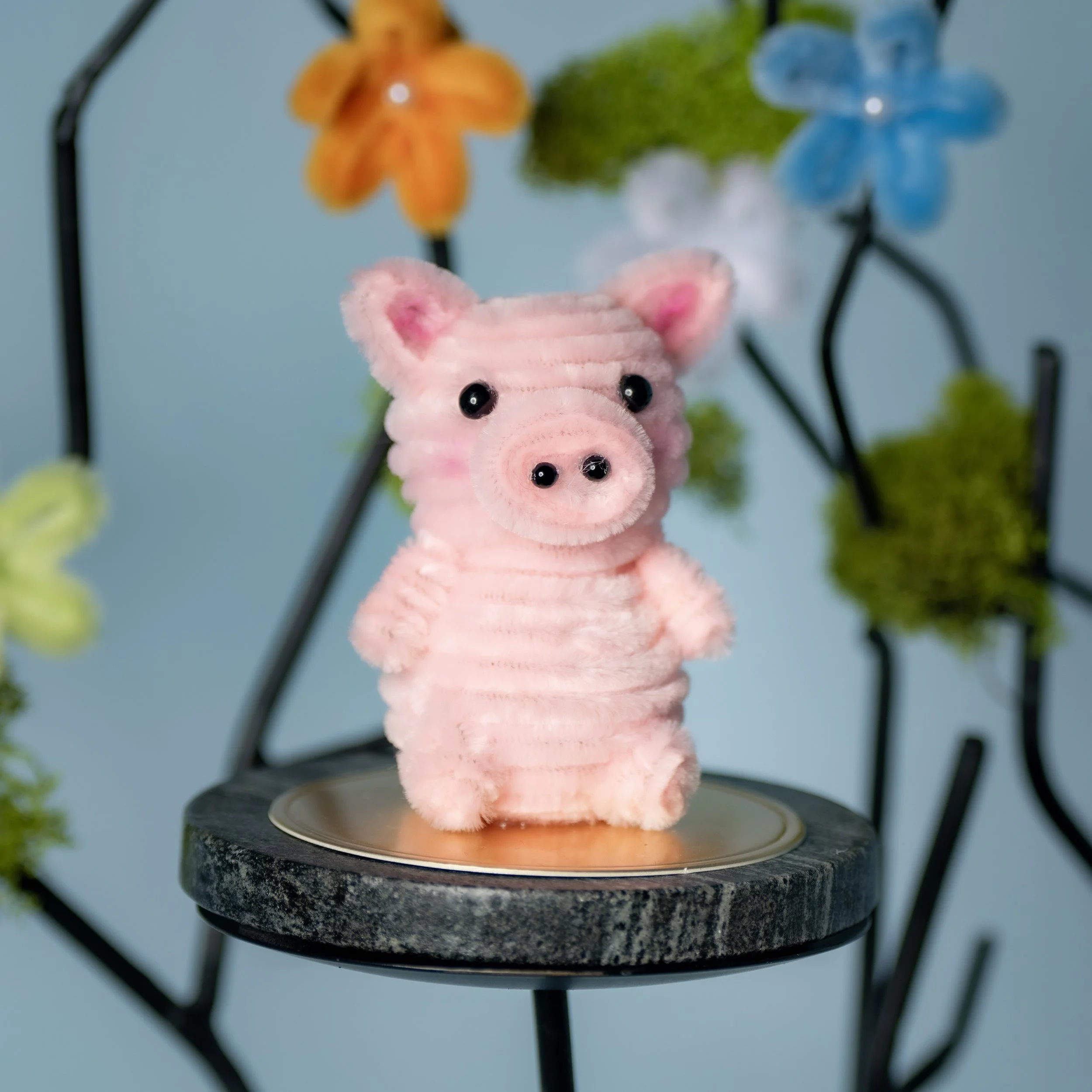 New Animal 5-15-2026 -15.jpg