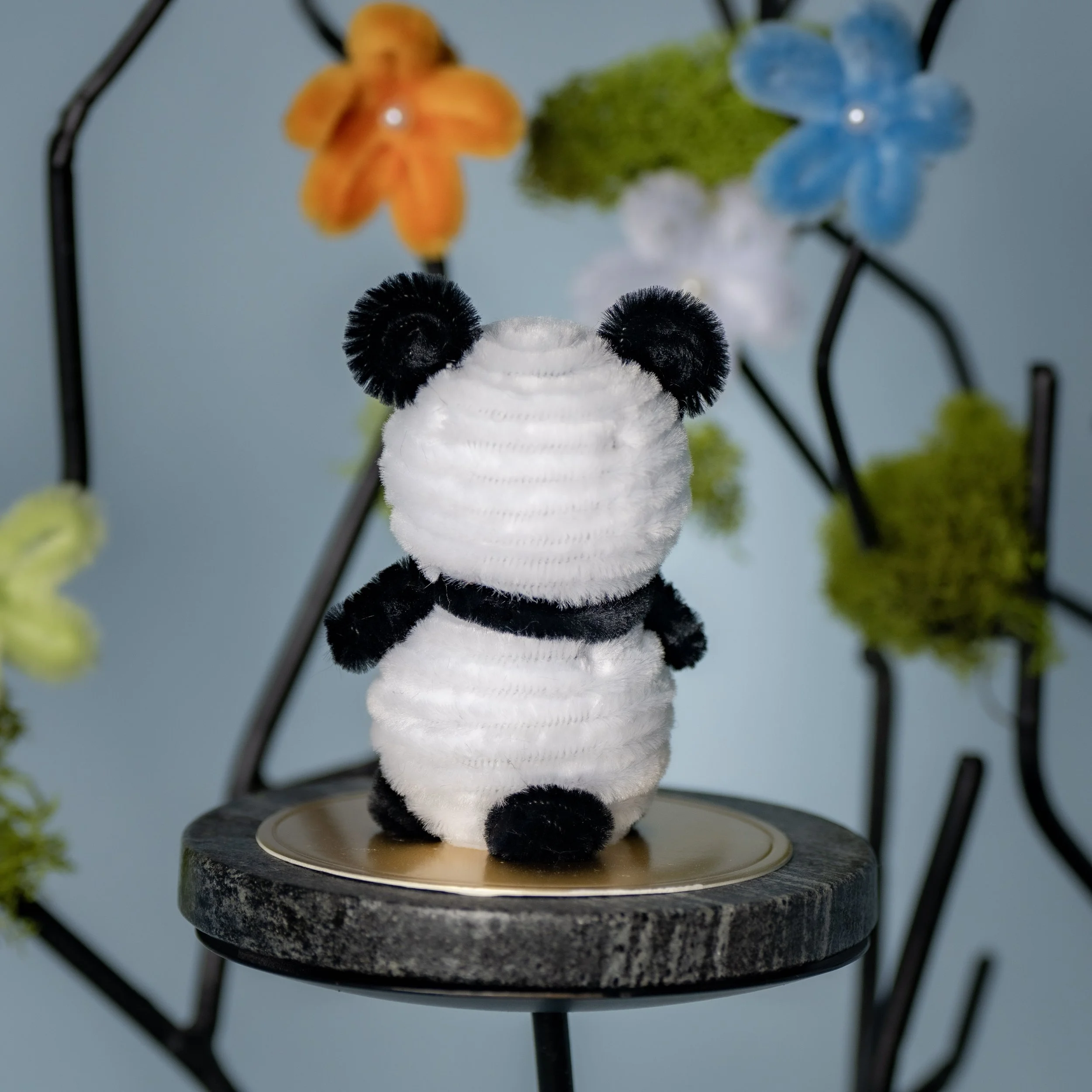 New Animal 5-15-2026 -80.jpg